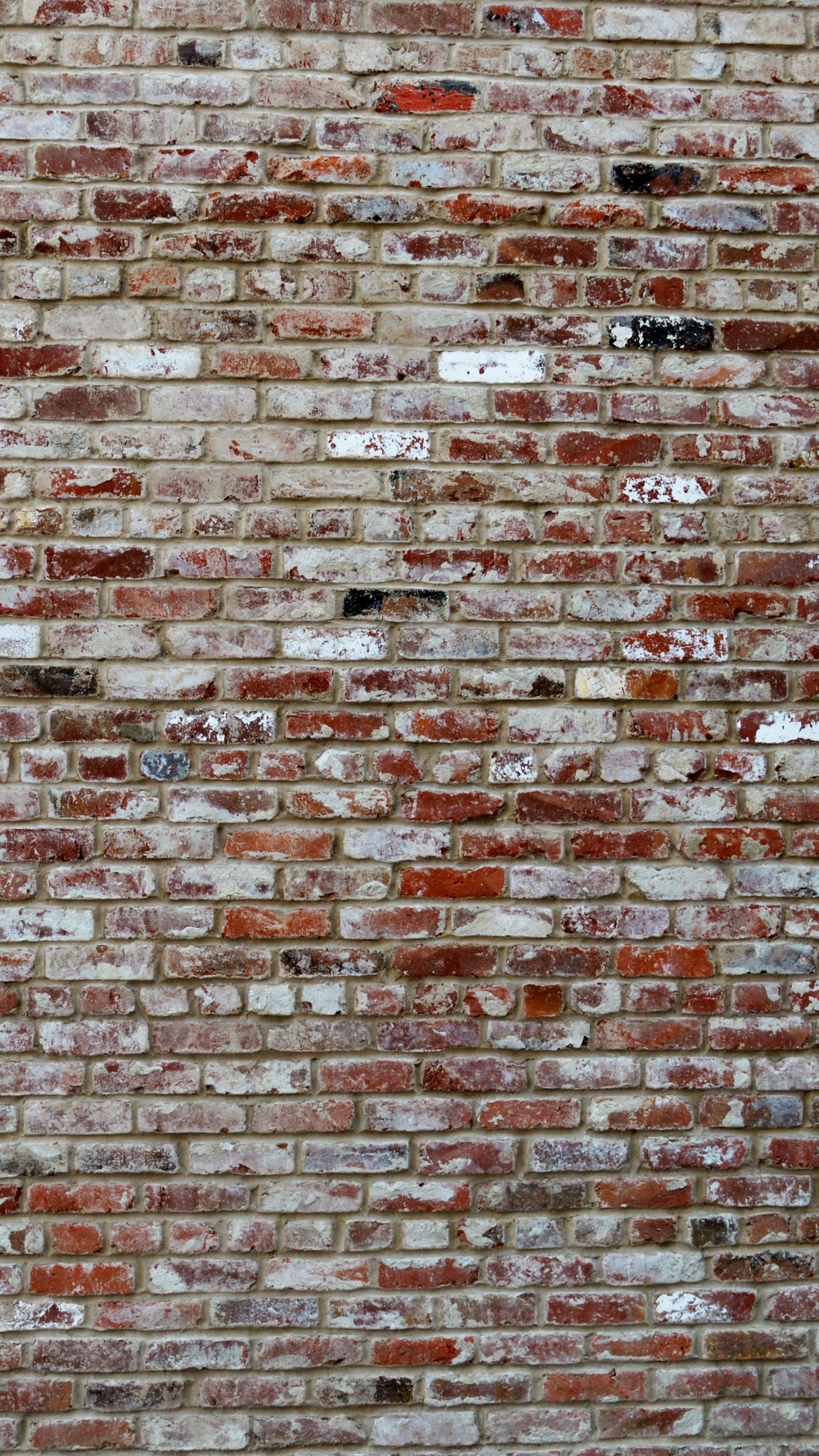 Pared de Ladrillo Marrón y Negro. Wallpaper in 1440x2560 Resolution