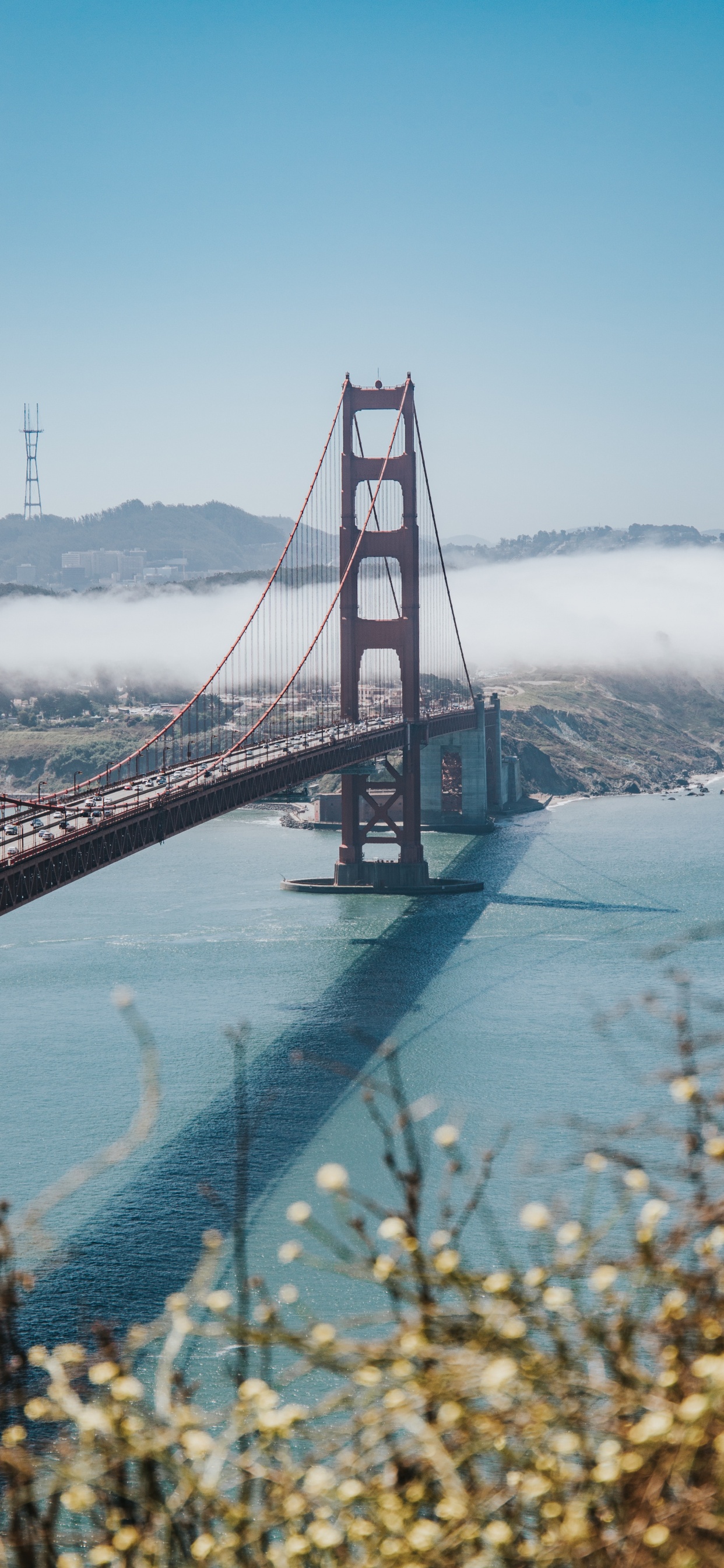 Pont du Golden Gate San Francisco Californie. Wallpaper in 1242x2688 Resolution