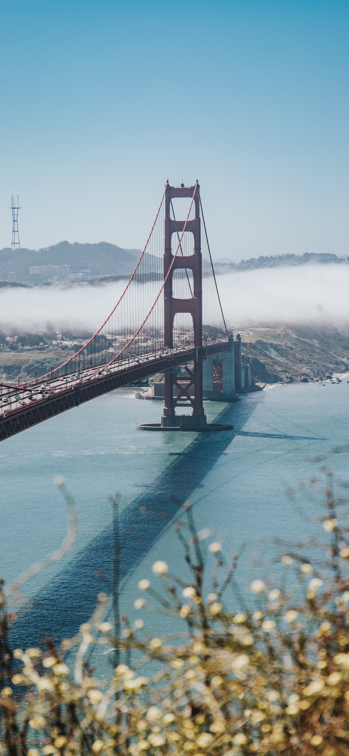 Golden Gate Bridge San Francisco Kalifornien. Wallpaper in 1125x2436 Resolution