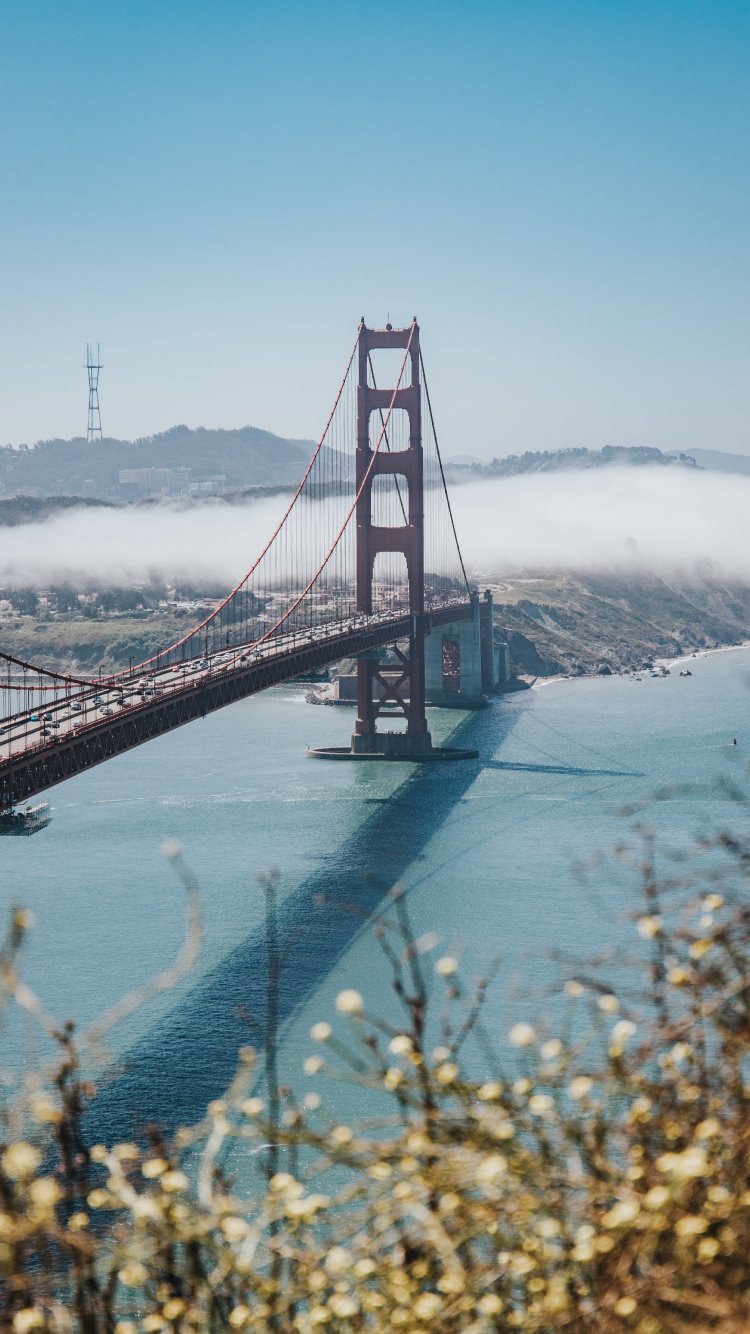 Golden Gate Bridge San Francisco Kalifornien. Wallpaper in 750x1334 Resolution