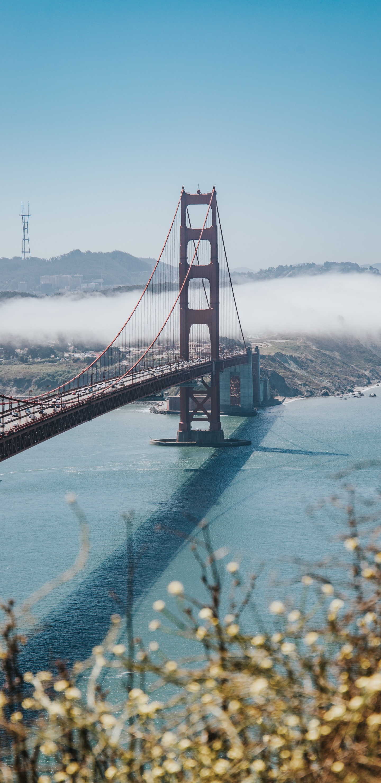 Puente Golden Gate San Francisco California. Wallpaper in 1440x2960 Resolution