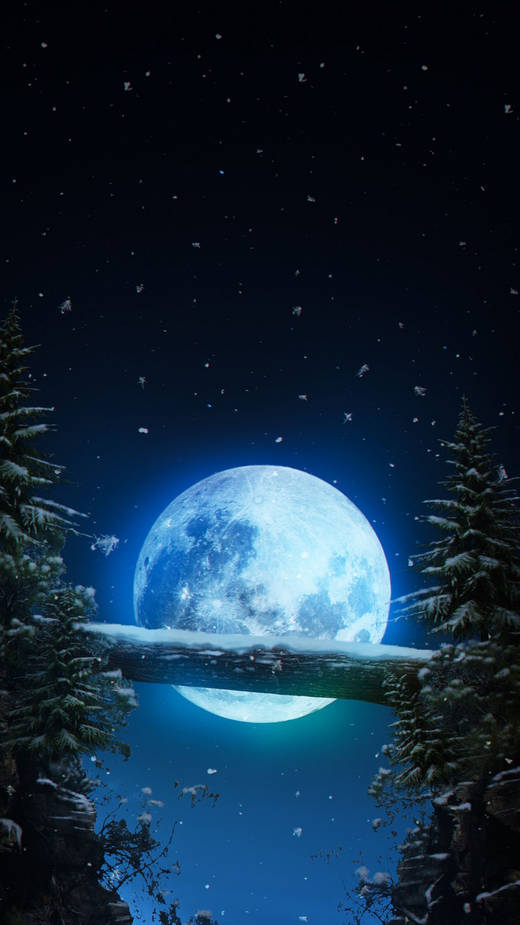 Luna, Tierra, Naturaleza, Ambiente, Espacio. Wallpaper in 750x1334 Resolution