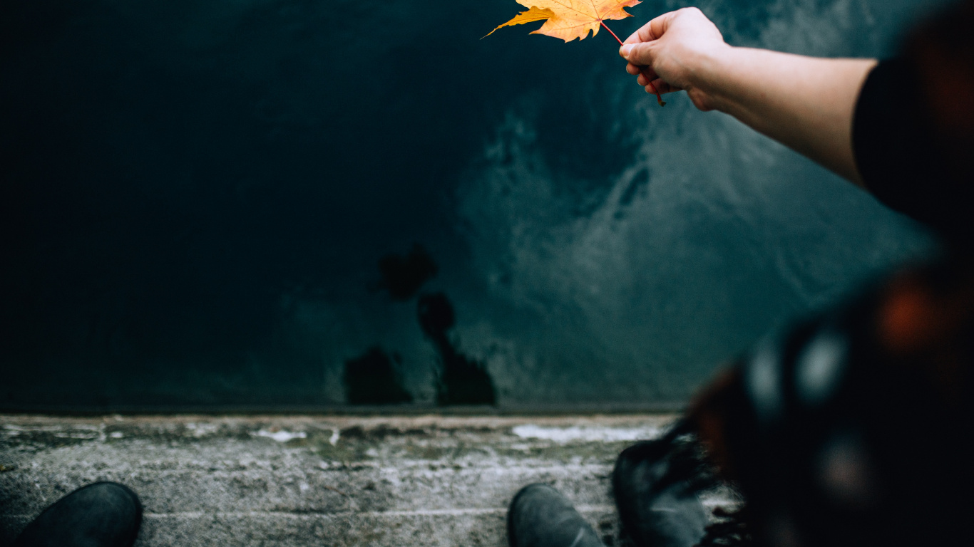 Person Holding Yellow Maple Leaf. Wallpaper in 1366x768 Resolution