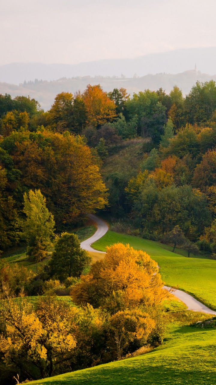 Grüne Wiese Mit Bäumen. Wallpaper in 720x1280 Resolution