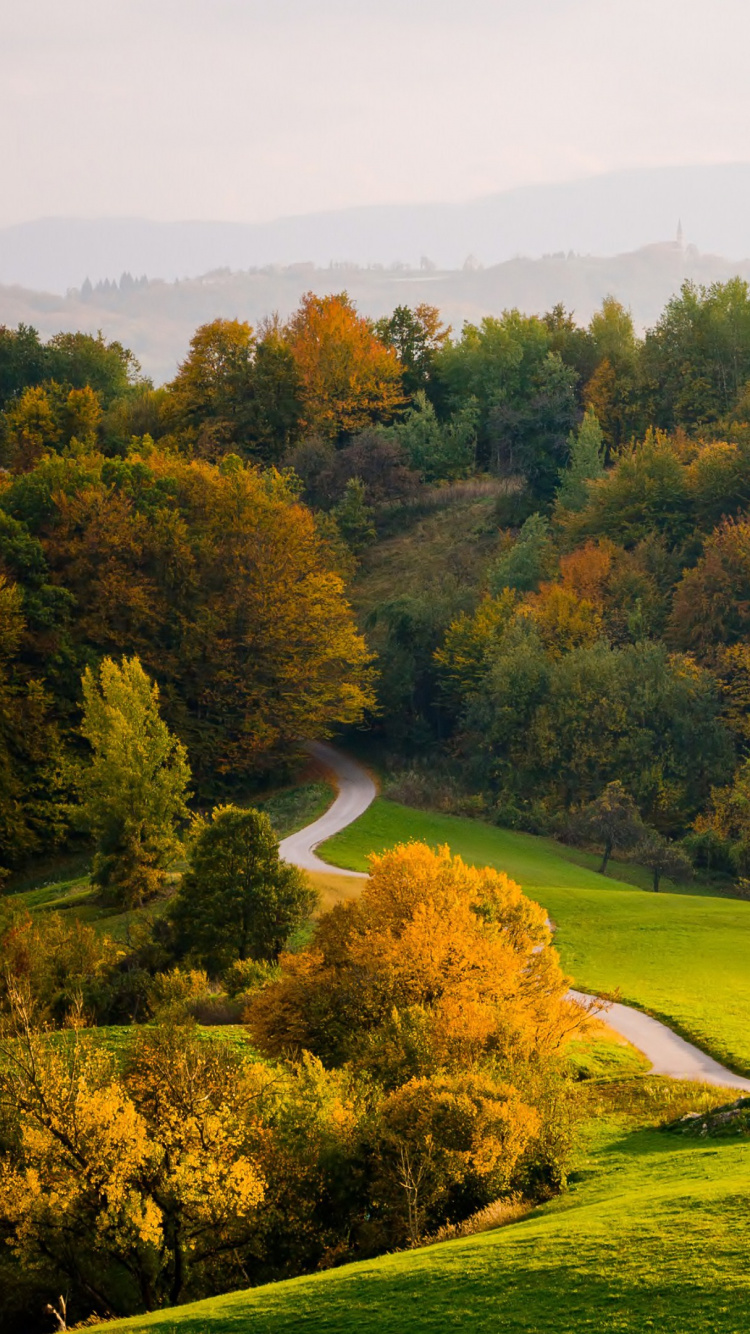 Grüne Wiese Mit Bäumen. Wallpaper in 750x1334 Resolution