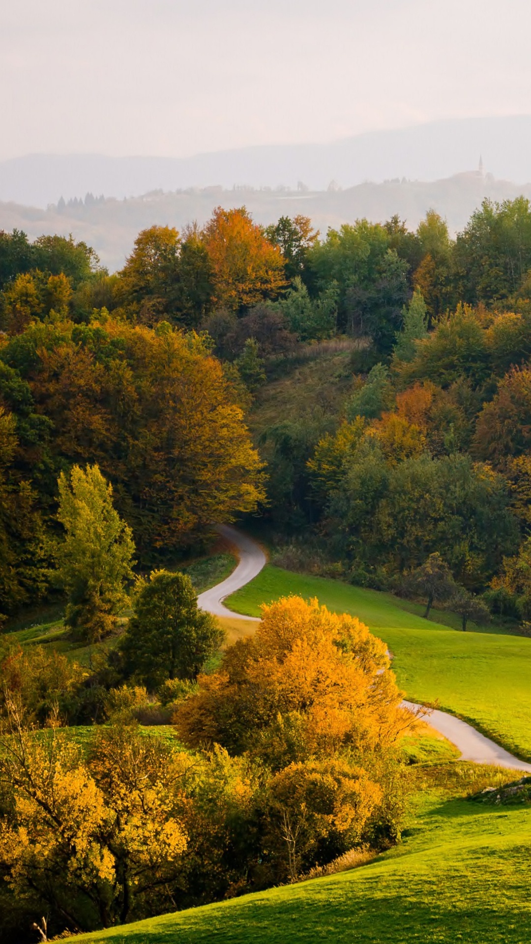 Champ D'herbe Verte Avec Des Arbres. Wallpaper in 1080x1920 Resolution