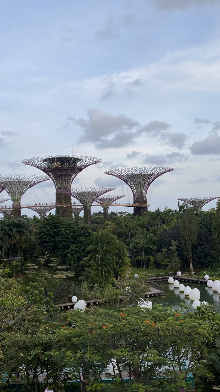 Singapore, Marina City Park, Biology, Science, Cloud. Wallpaper in 750x1334 Resolution