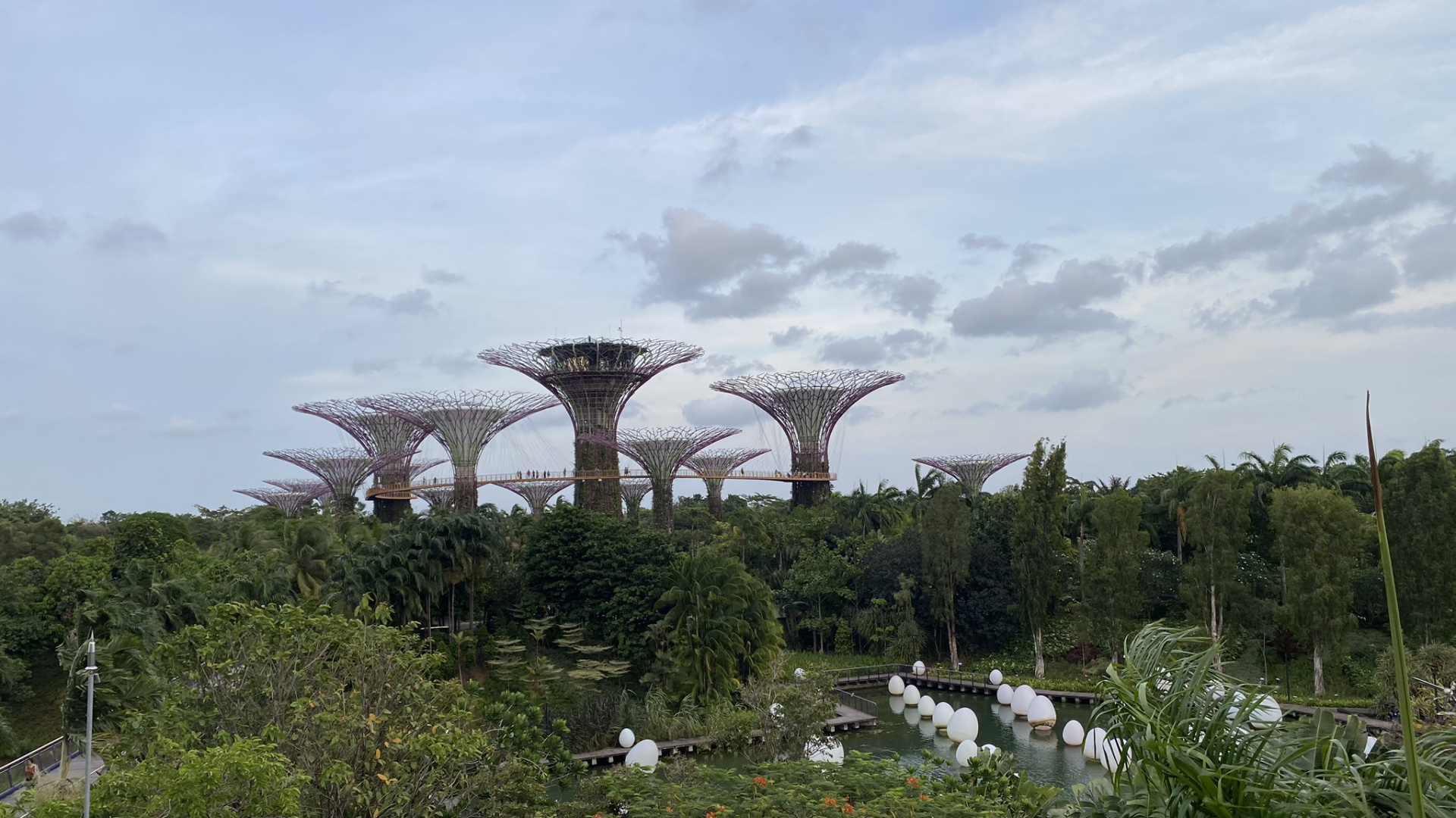 Singapour, Parc de la Ville de Marina, Biologie, Sciences, Garden. Wallpaper in 1920x1080 Resolution