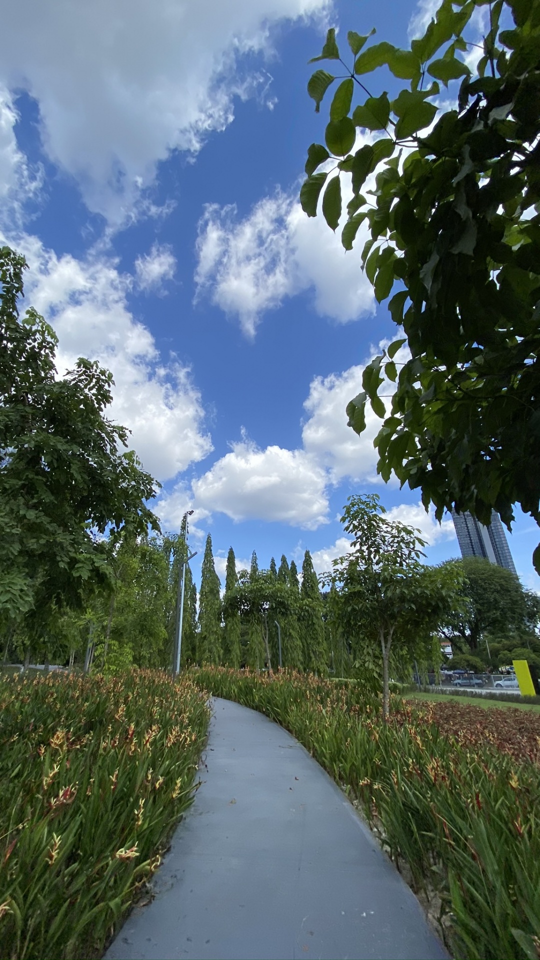 Grass, Plant, Shrub, Walkway, Cumulus. Wallpaper in 1080x1920 Resolution