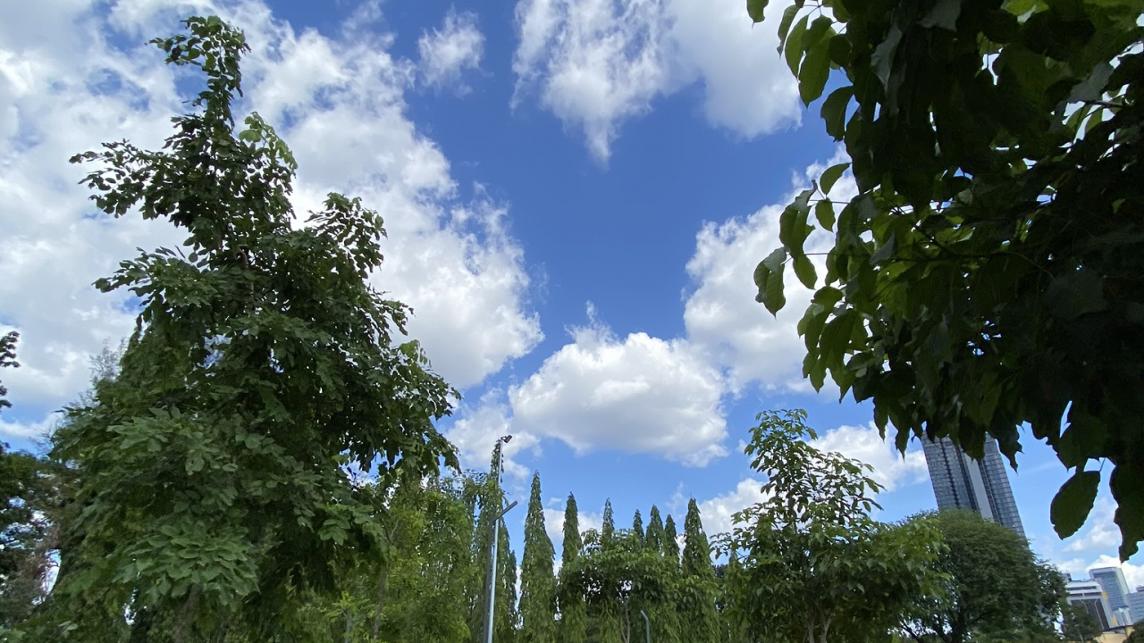 Grass, Plant, Shrub, Walkway, Cumulus. Wallpaper in 1280x720 Resolution