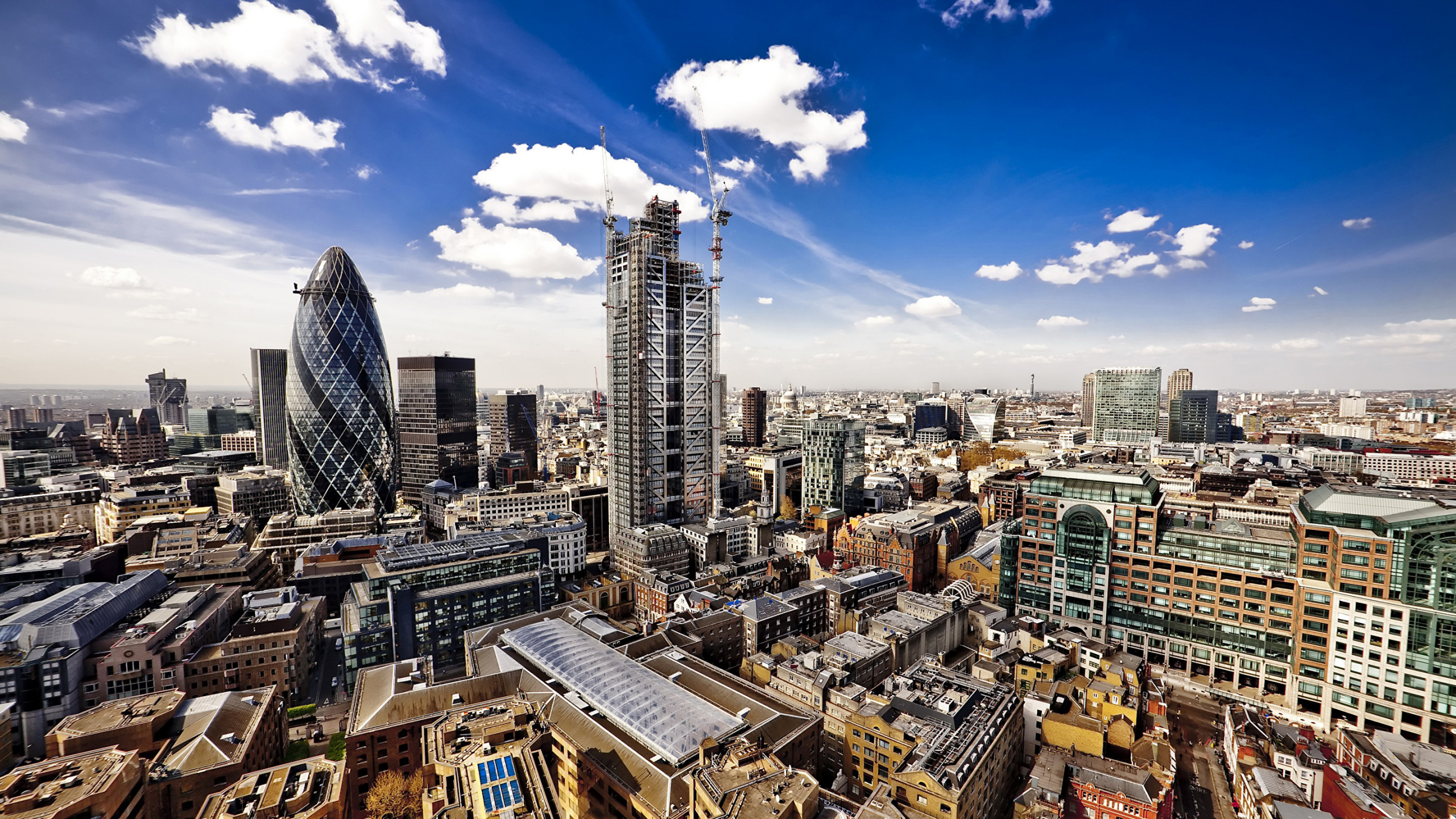 High Rise Buildings Under Blue Sky During Daytime. Wallpaper in 2560x1440 Resolution