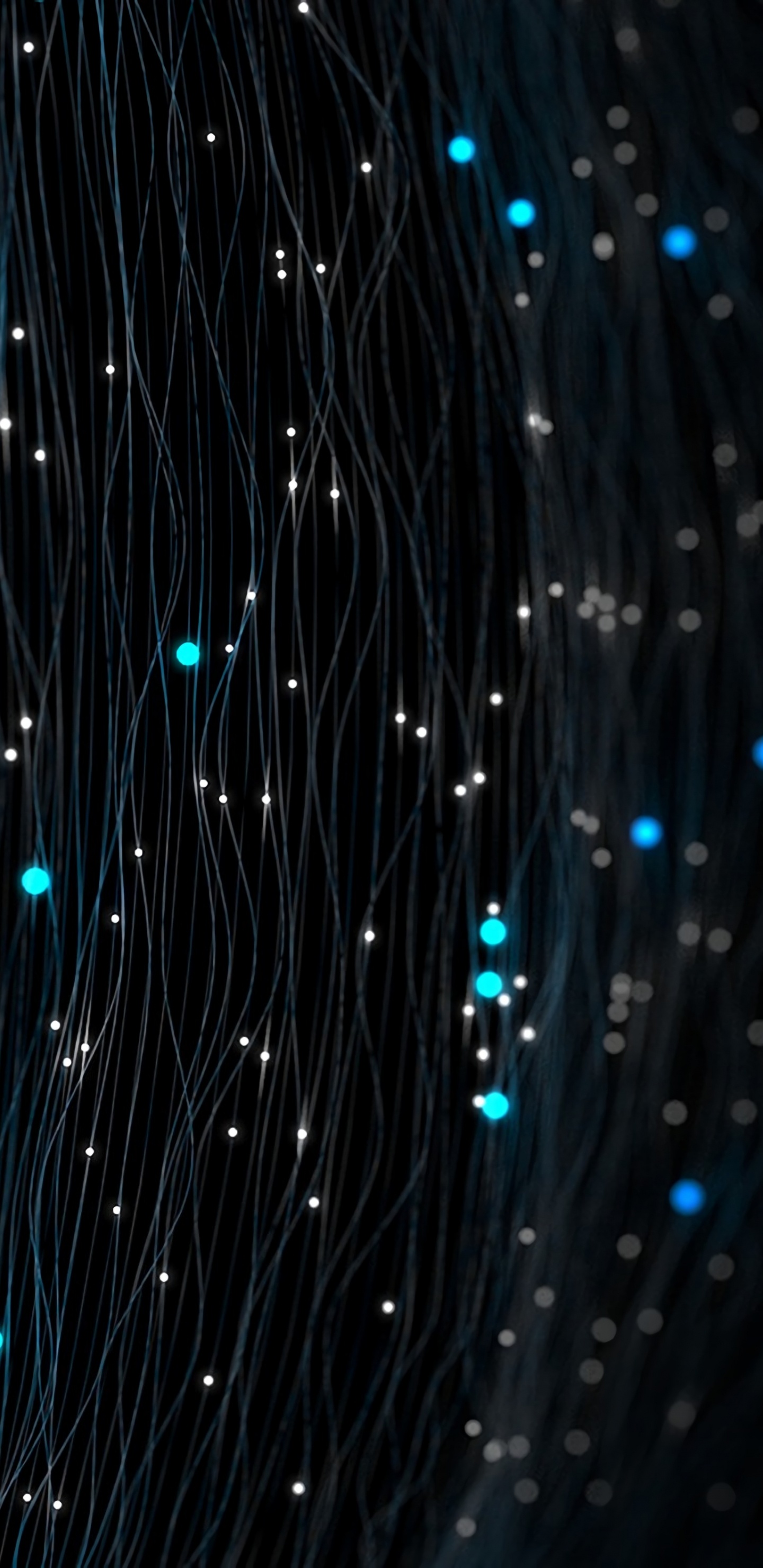 光, 空间, 电蓝色的, 科学, 午夜 壁纸 1440x2960 允许