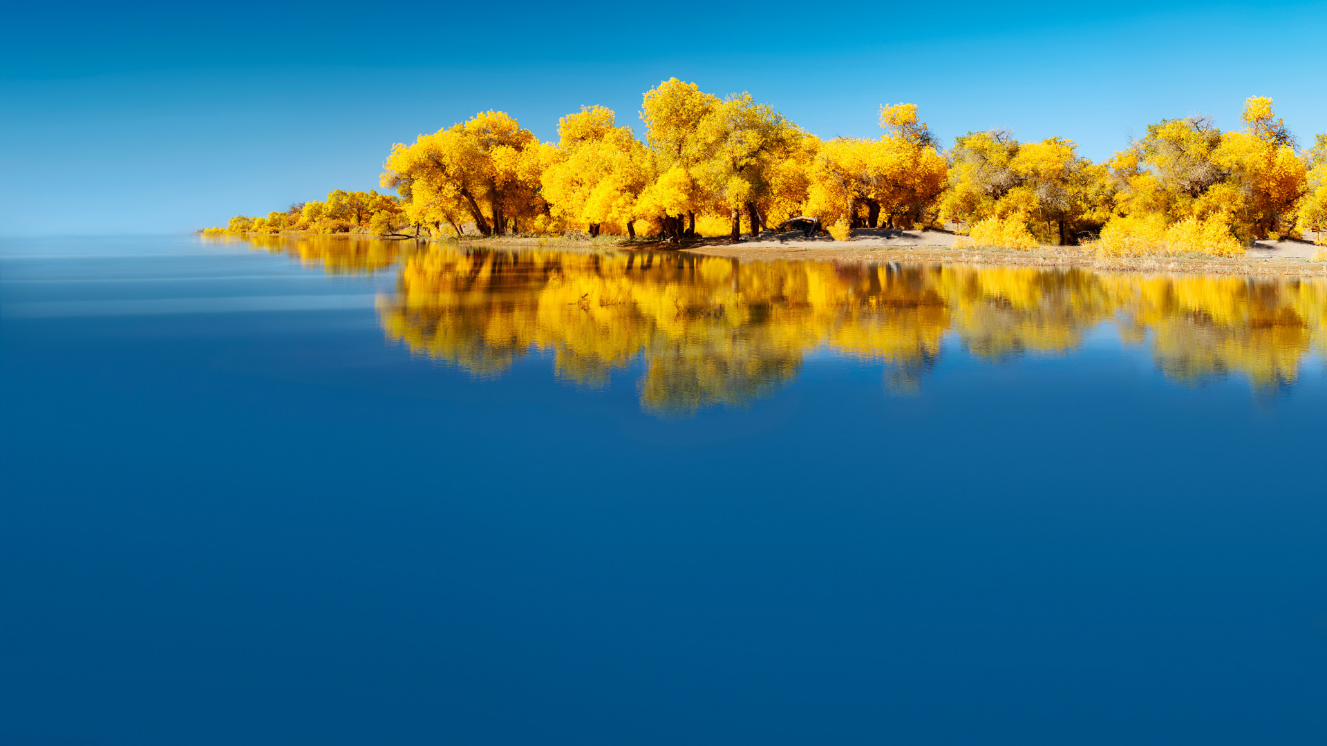 Huawei, Huawei Mate, Huawei Mate 40 Pro, Huawei Mate 30, Huawei Compagnon 40. Wallpaper in 1920x1080 Resolution