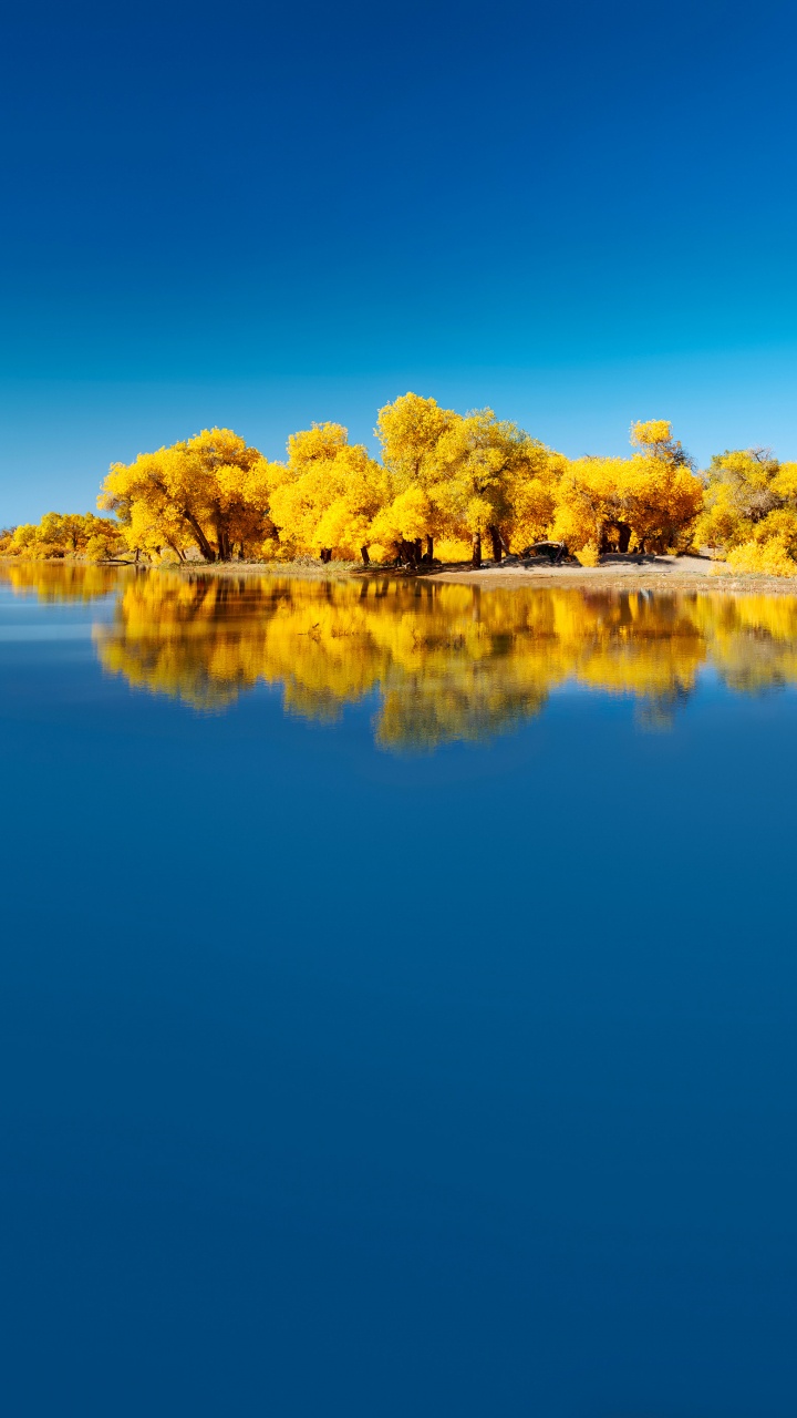 Huawei, Huawei Mate, Huawei Mate 40 Pro, Huawei Mate 30, Huawei Mate 40. Wallpaper in 720x1280 Resolution