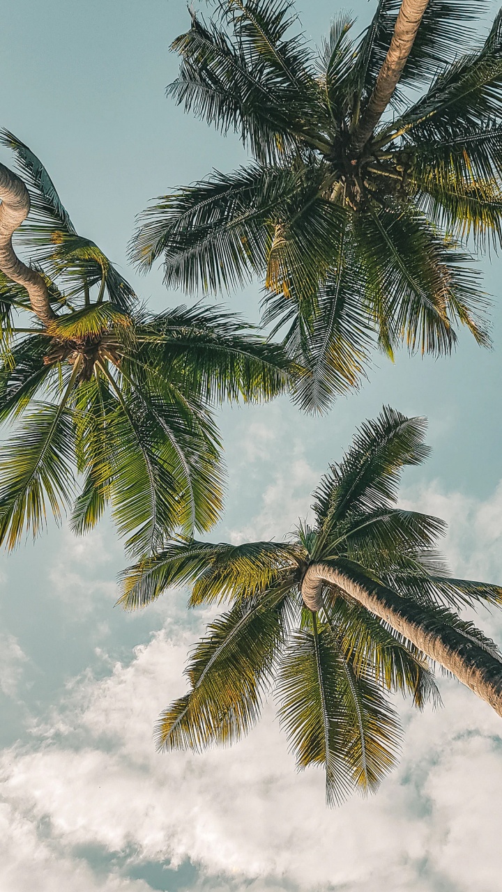 Jolie Montre Pomme, Apple Watch, Ipod Touch, Apple, IOS. Wallpaper in 720x1280 Resolution