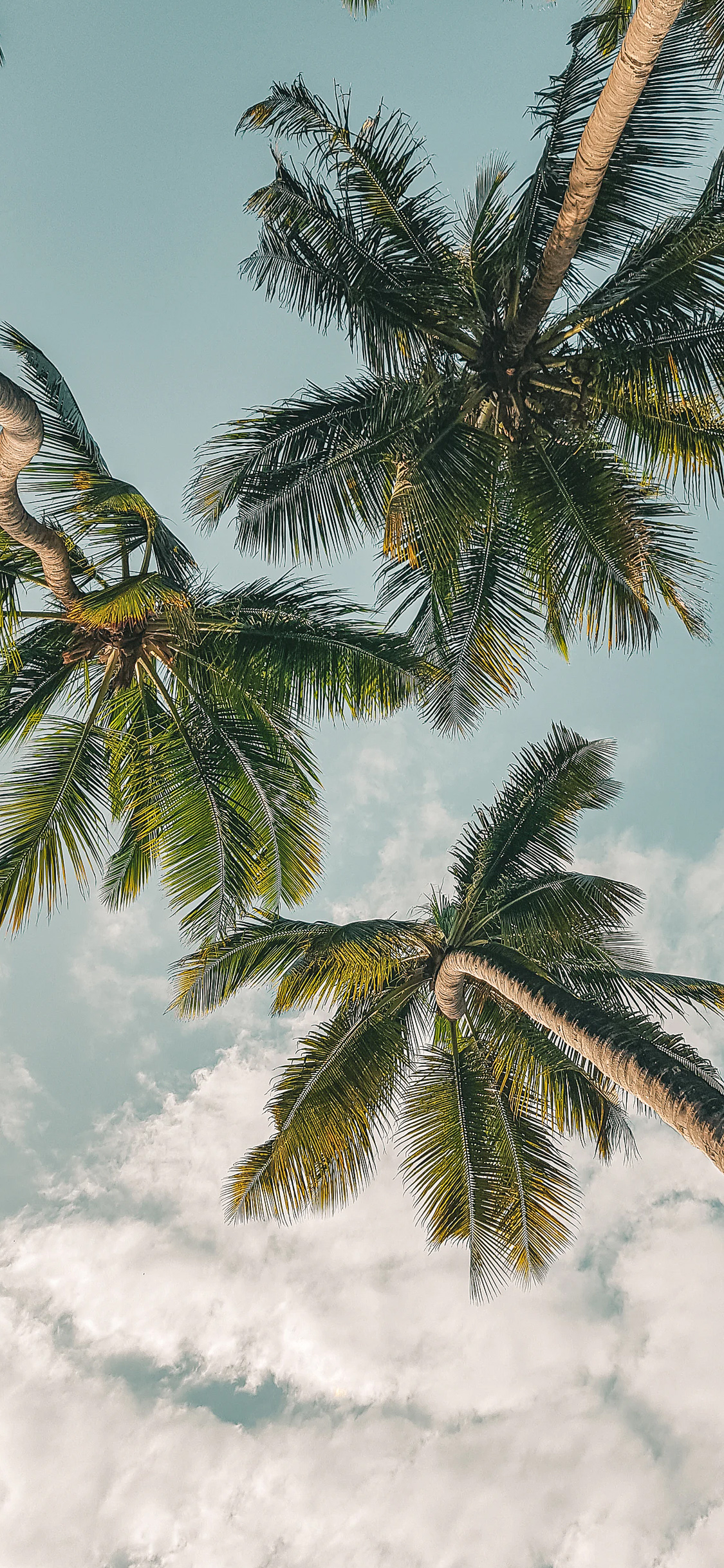 Lindo Reloj de Manzana, Apple Watch, Ipod Touch, Manzana, Ios. Wallpaper in 1125x2436 Resolution