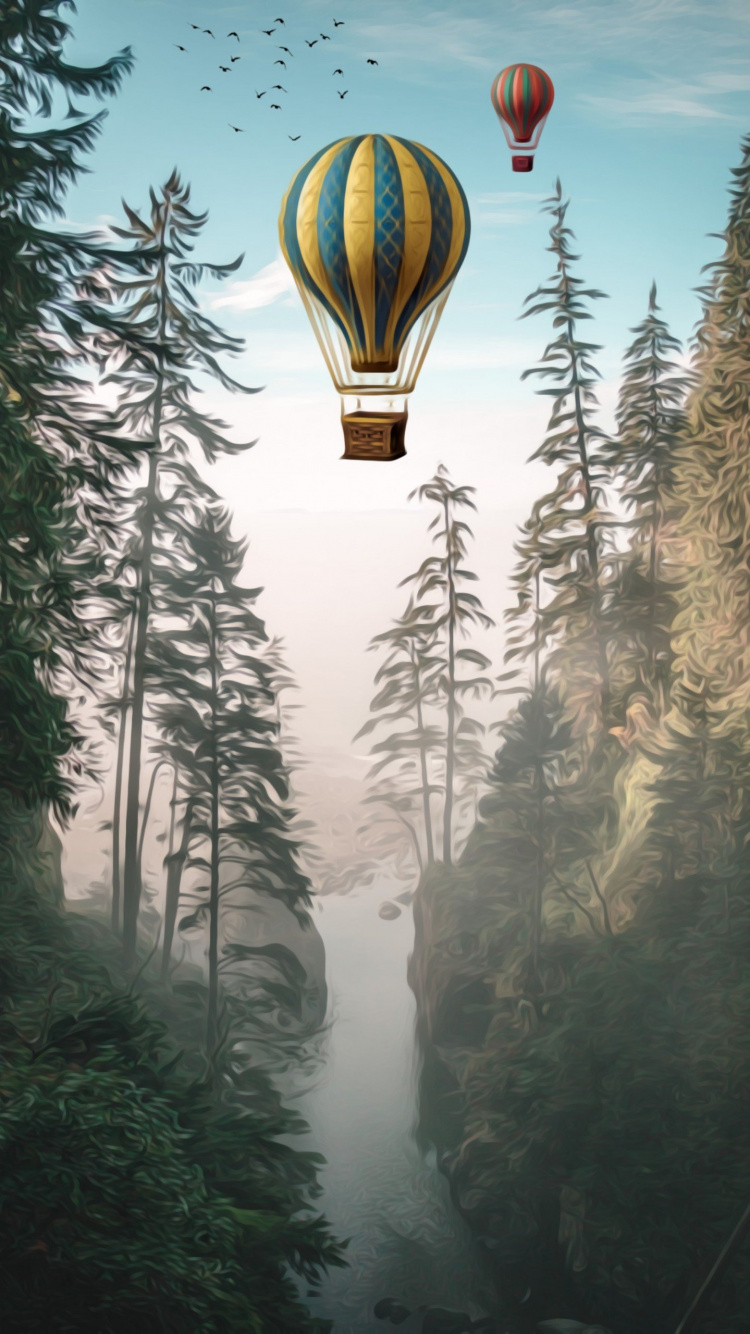 Globo de Aire Caliente, Naturaleza, Aeróstato, Globos de Aire Caliente, Luz. Wallpaper in 750x1334 Resolution