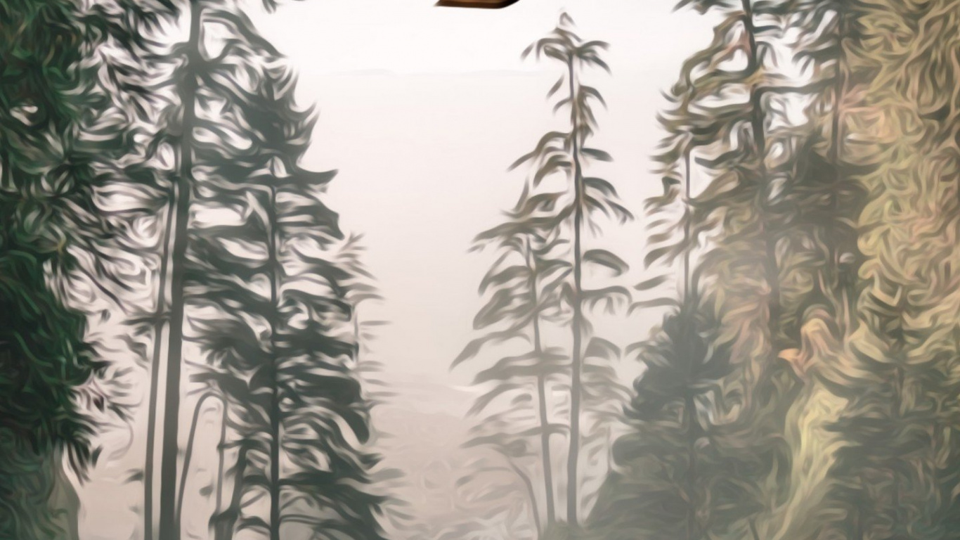 Heißluftballon, Baum, Natur, Wald, Fichte. Wallpaper in 1366x768 Resolution