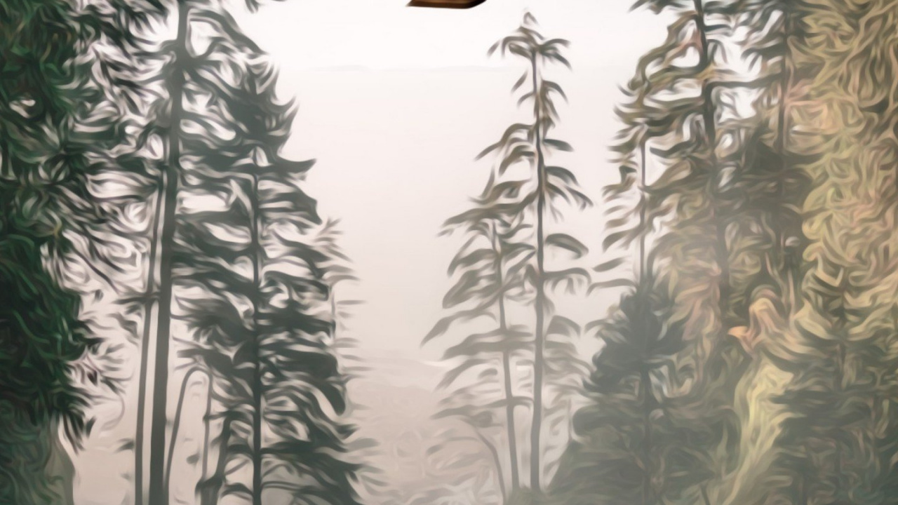 Hot Air Balloon, Tree, Nature, Forest, Spruce. Wallpaper in 1280x720 Resolution