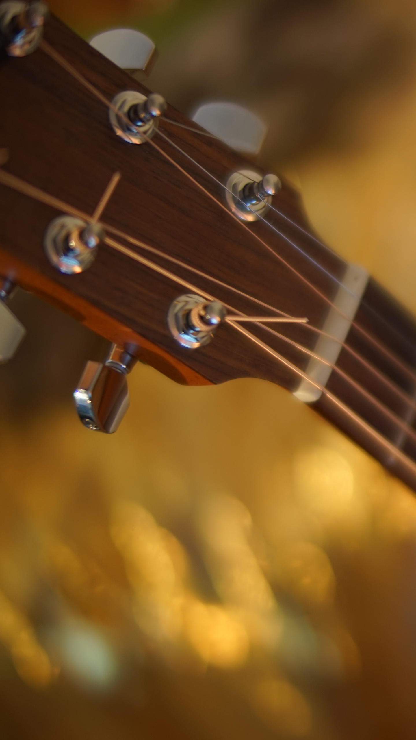 String Instrument, Guitar, Bass Guitar, Acoustic Guitar, Electric Guitar. Wallpaper in 1440x2560 Resolution