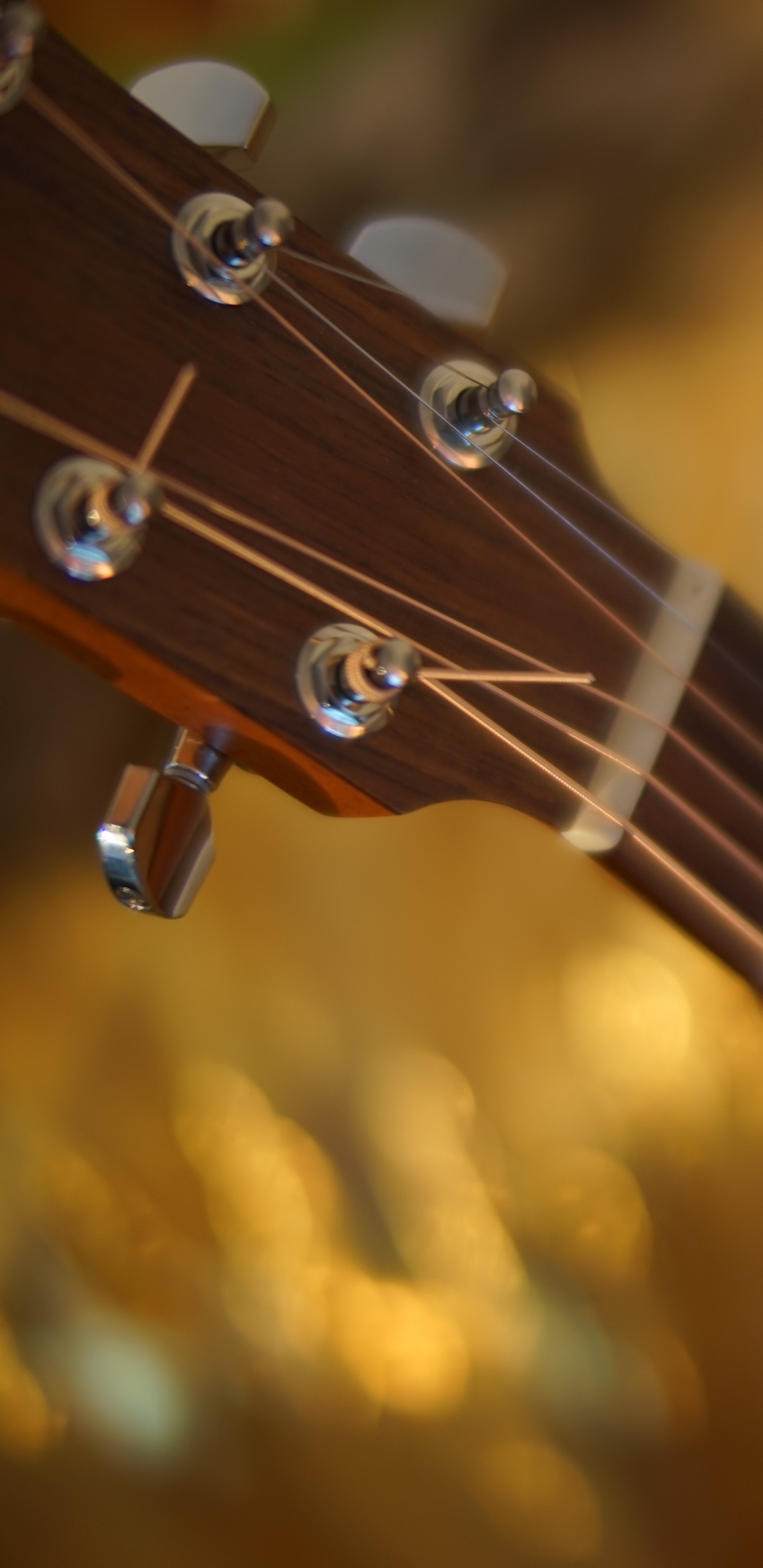 Instrument à Cordes, Guitare, Guitare Basse, Guitare Acoustique, Guitare Électrique. Wallpaper in 1440x2960 Resolution