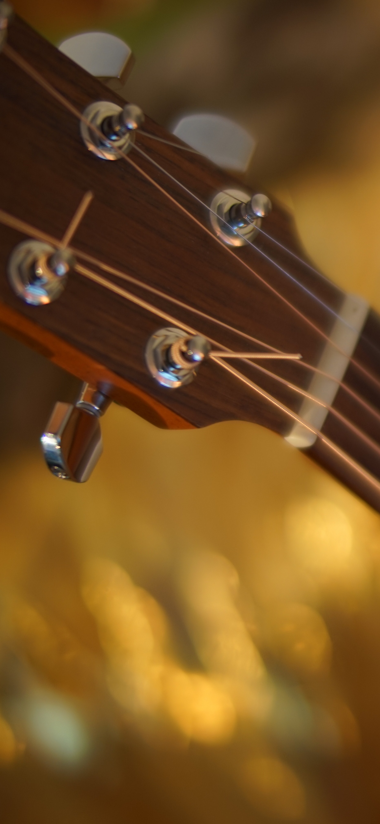 Instrumento de Cuerda, Guitarra, Bass Guitar, Guitarra Acústica, Guitarra Eléctrica. Wallpaper in 1242x2688 Resolution