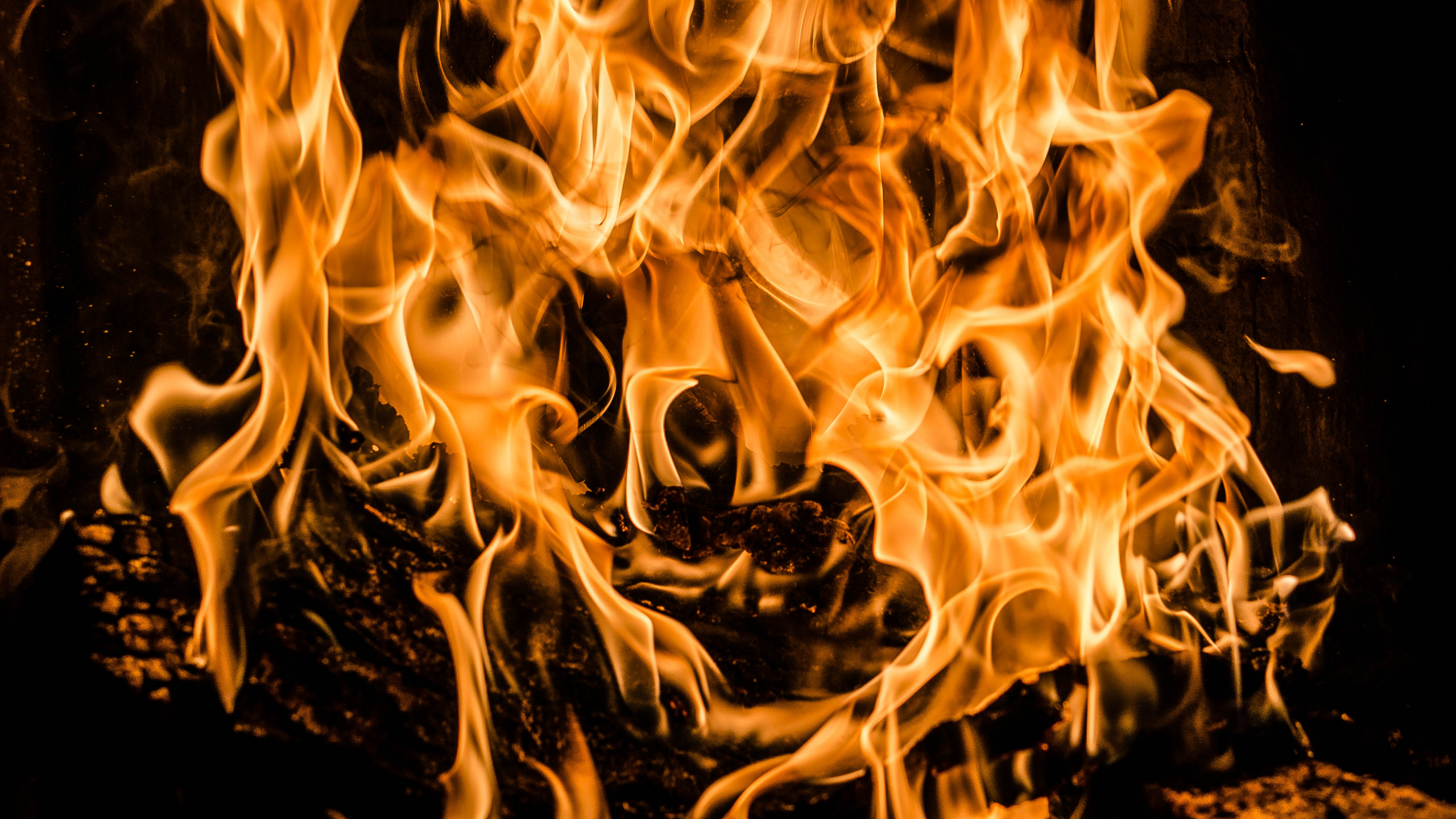 火焰, 热, 篝火 壁纸 2560x1440 允许
