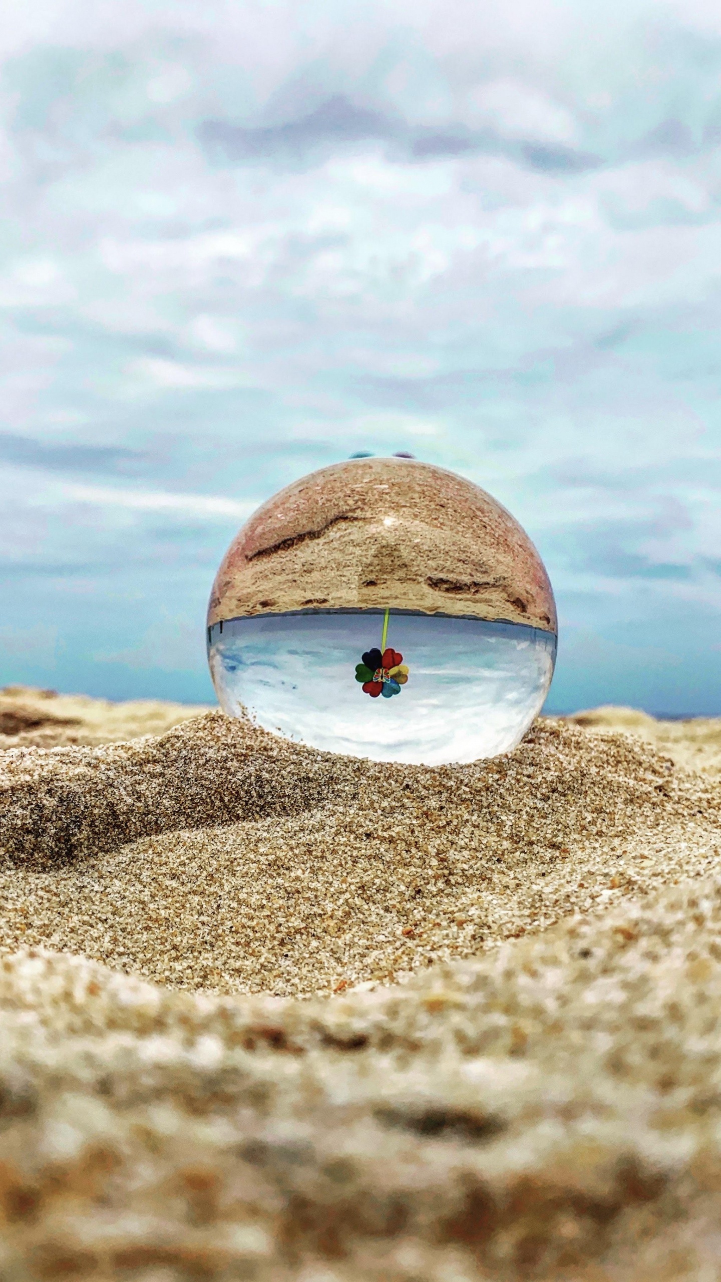 Agua, Madera, Lago, Playa. Wallpaper in 1440x2560 Resolution