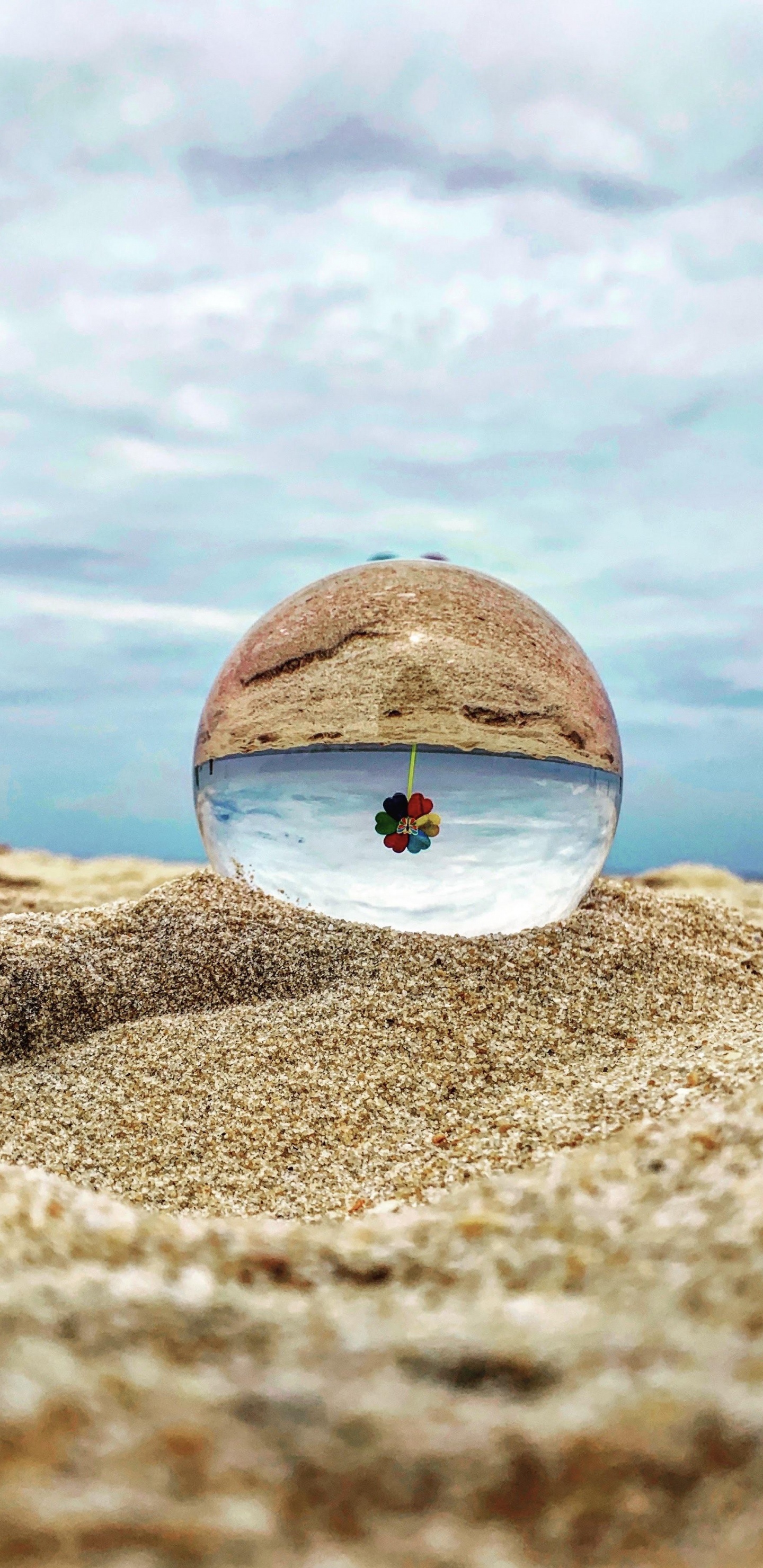 Wasser, Cloud, Holz, Baum, Horizont. Wallpaper in 1440x2960 Resolution