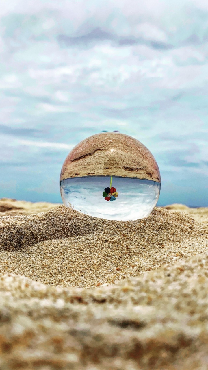 Water, Cloud, Wood, Tree, Horizon. Wallpaper in 720x1280 Resolution