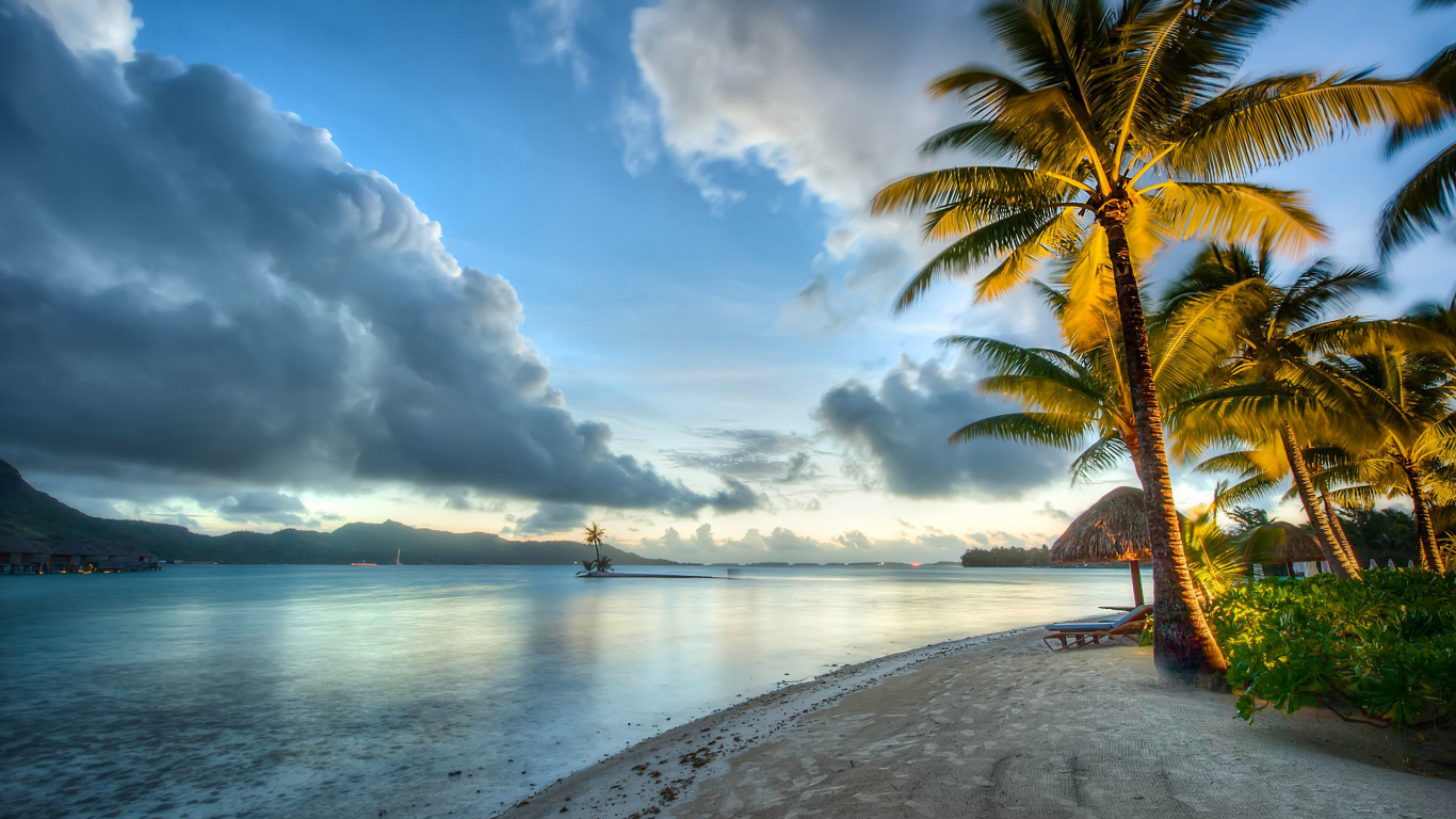 Palm Tree Near Sea Under White Clouds and Blue Sky During Daytime. Wallpaper in 1366x768 Resolution