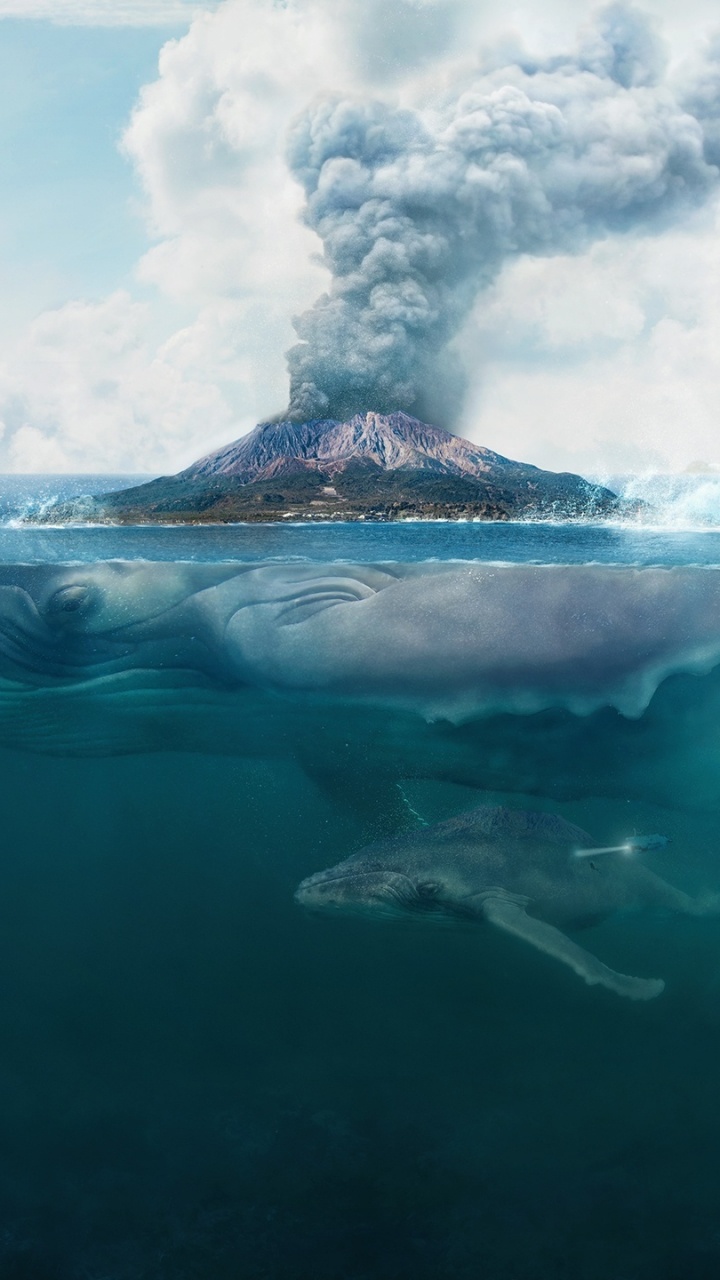 Nuages Blancs Sur la Mer Bleue. Wallpaper in 720x1280 Resolution