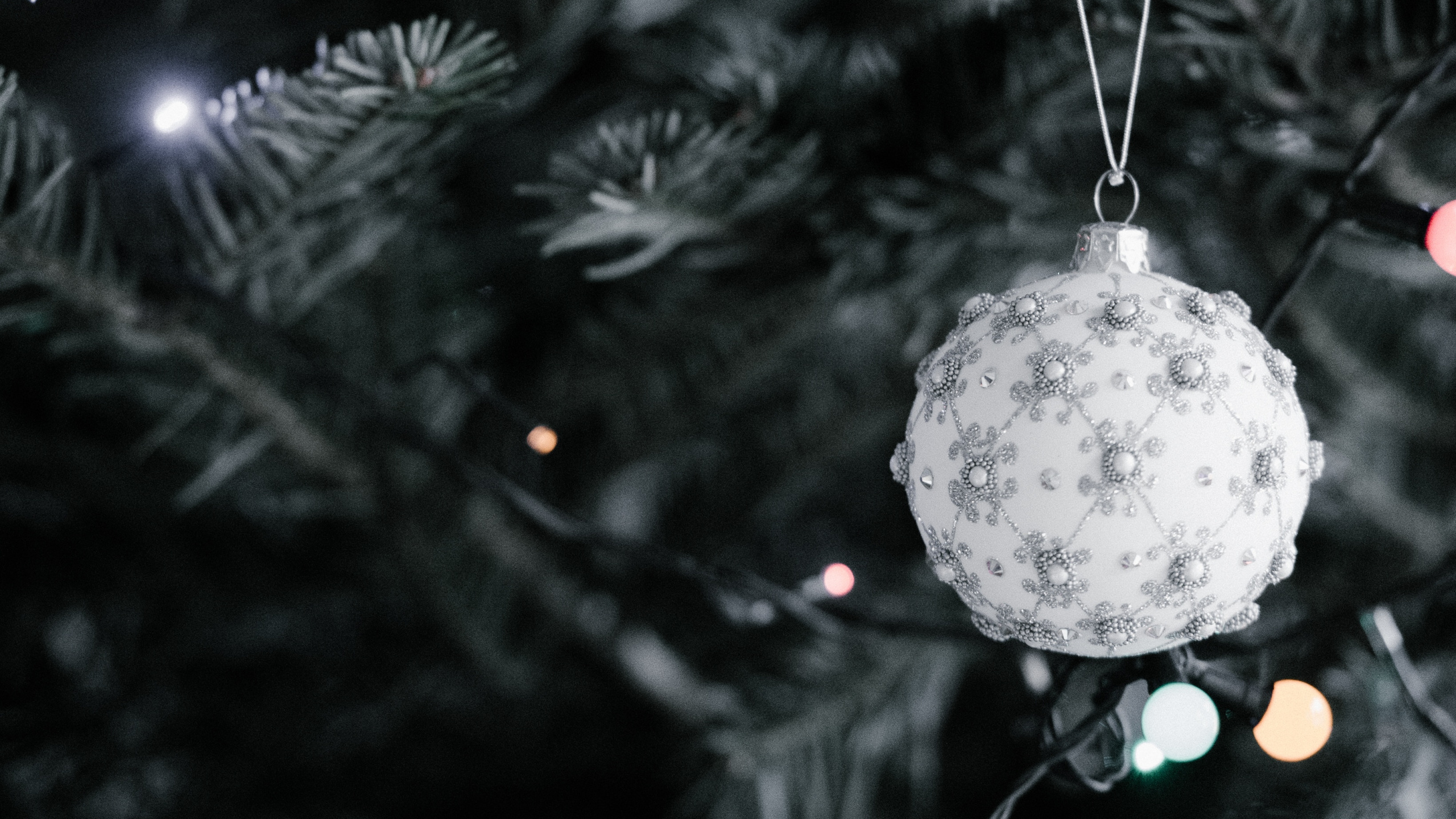 Christmas Day, Christmas Ornament, Tree, Christmas Decoration, Christmas Tree. Wallpaper in 2560x1440 Resolution