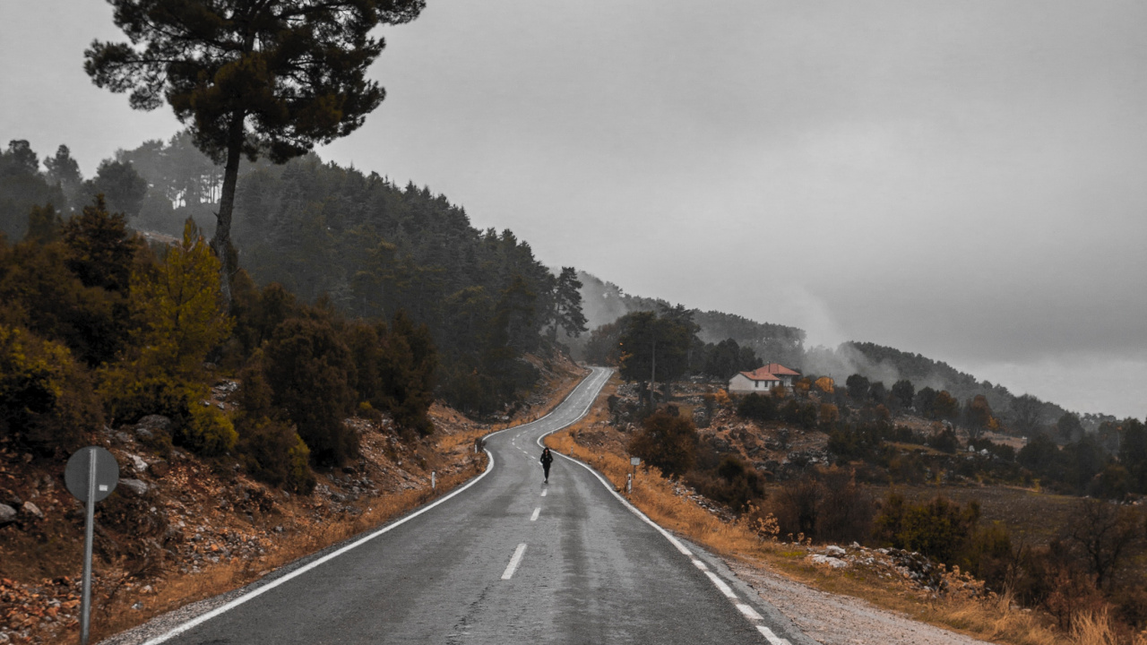 Road, Asphalt, Baum, Fahrbahn, Naturlandschaft. Wallpaper in 1280x720 Resolution