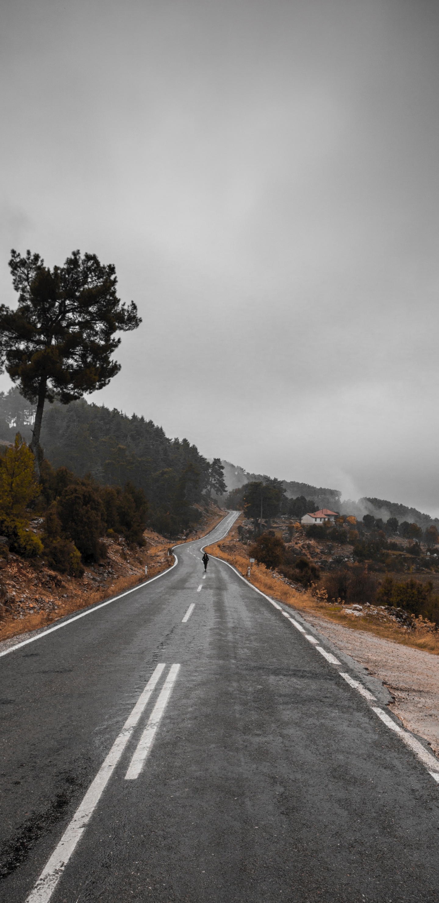 Road, Highway, Asphalt, Lane, Tree. Wallpaper in 1440x2960 Resolution