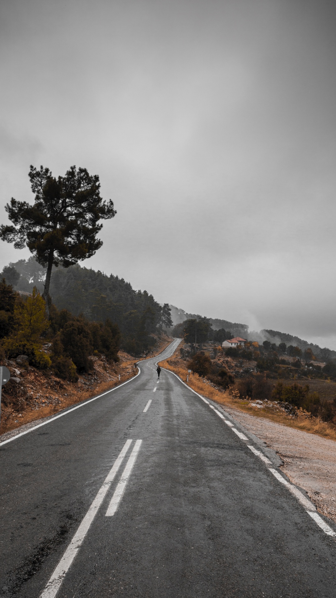 Route, Asphalt, Voie, Surface de la Route, Paysage Naturel. Wallpaper in 1080x1920 Resolution