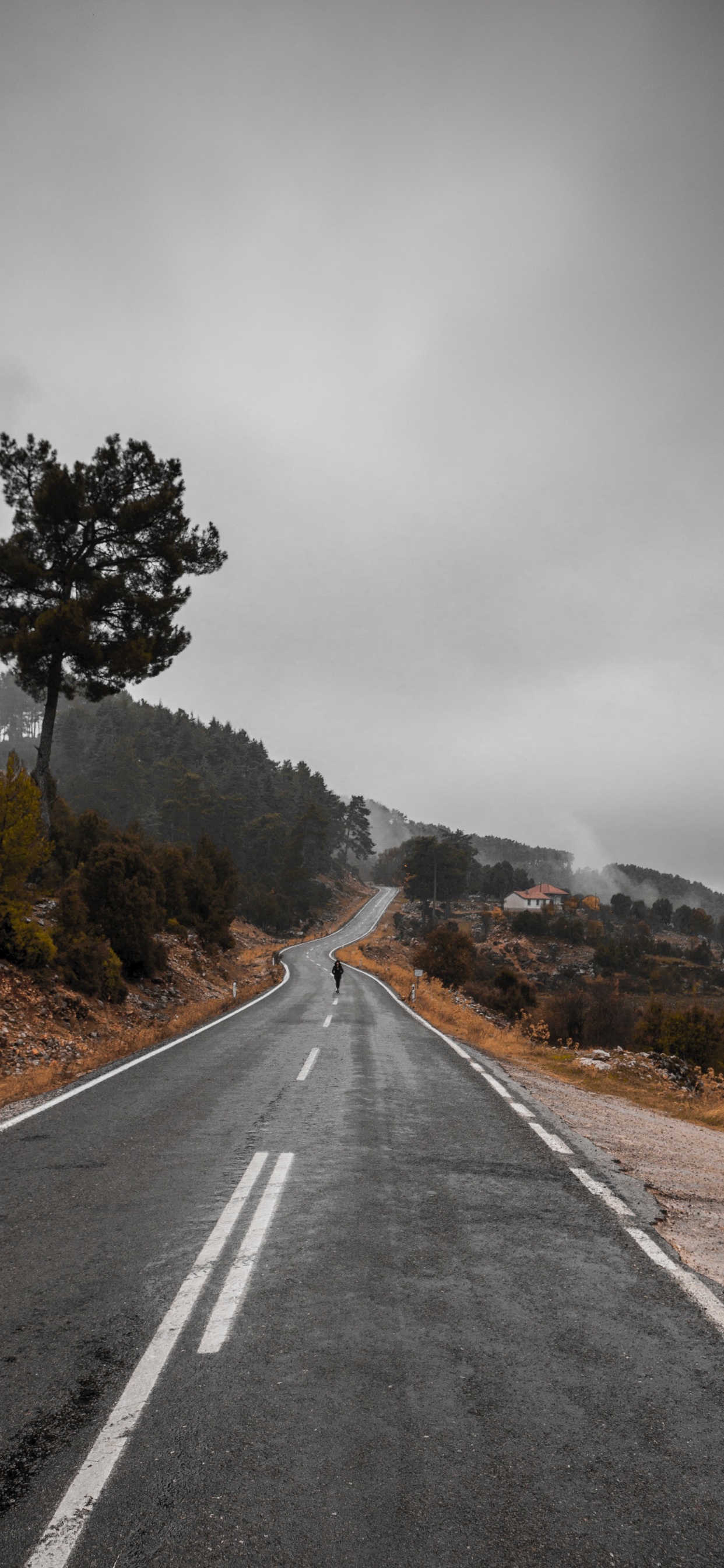 Route, Asphalt, Voie, Surface de la Route, Paysage Naturel. Wallpaper in 1242x2688 Resolution
