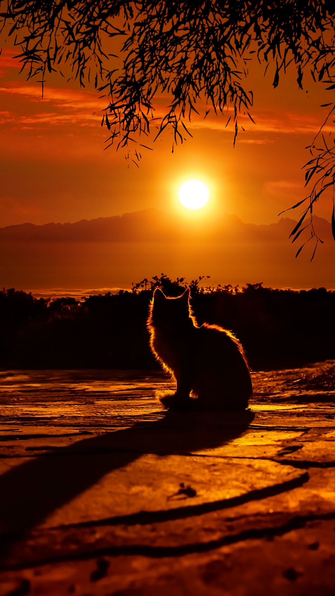 Silhouette of Person Standing on Beach During Sunset. Wallpaper in 1080x1920 Resolution