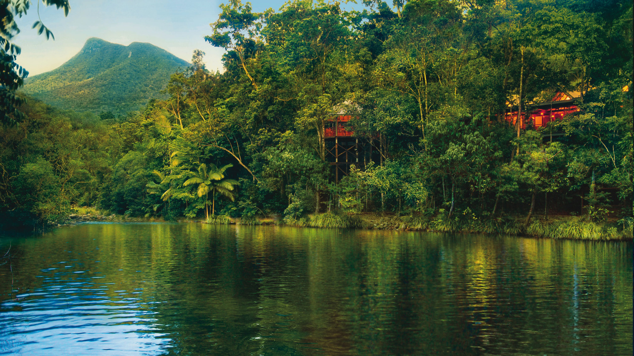 Green Trees Beside Body of Water During Daytime. Wallpaper in 1280x720 Resolution