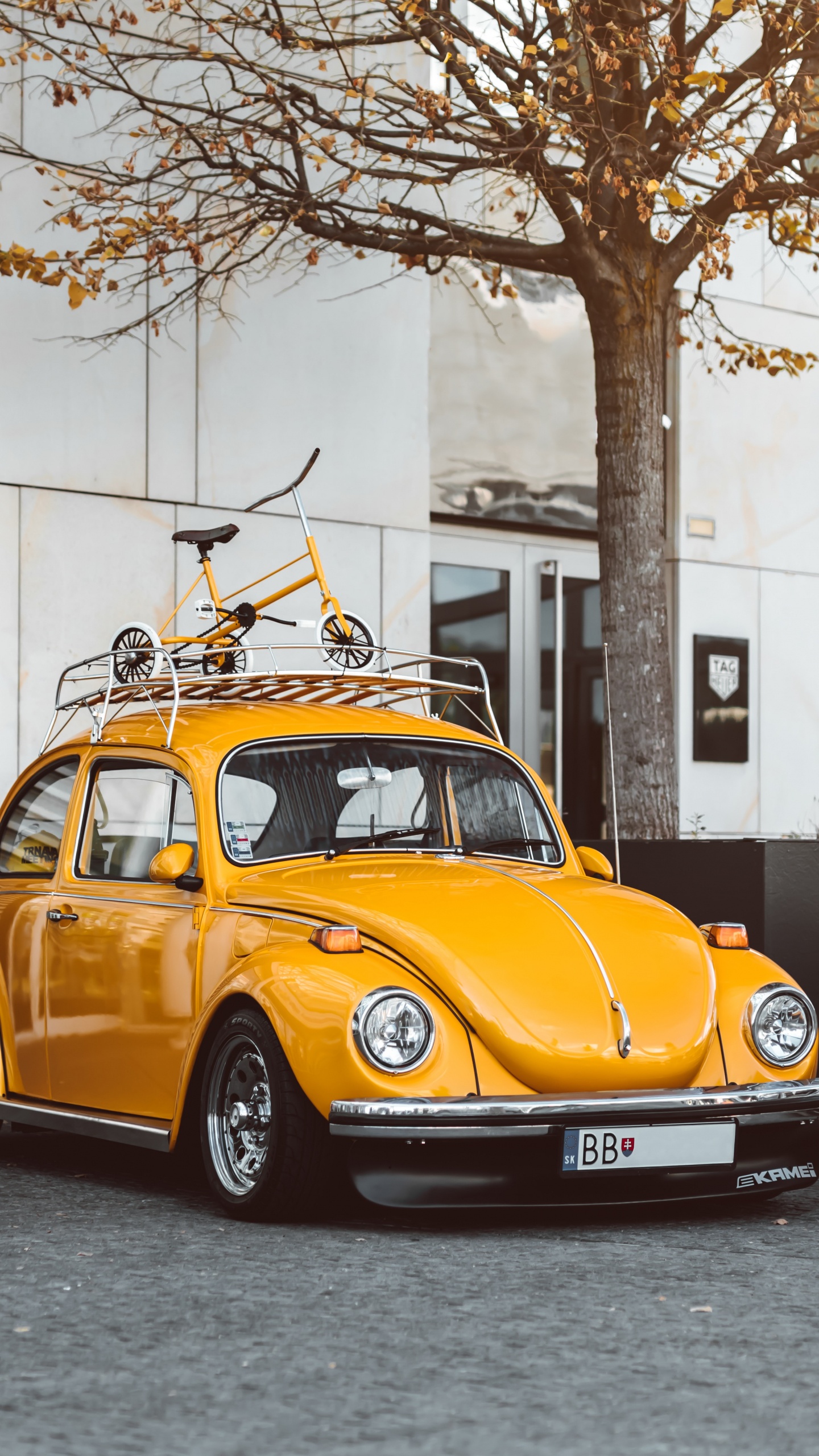 Volkswagen Beetle, Car, Volkswagen, Oldtimer, Gebrauchtwagen. Wallpaper in 1440x2560 Resolution