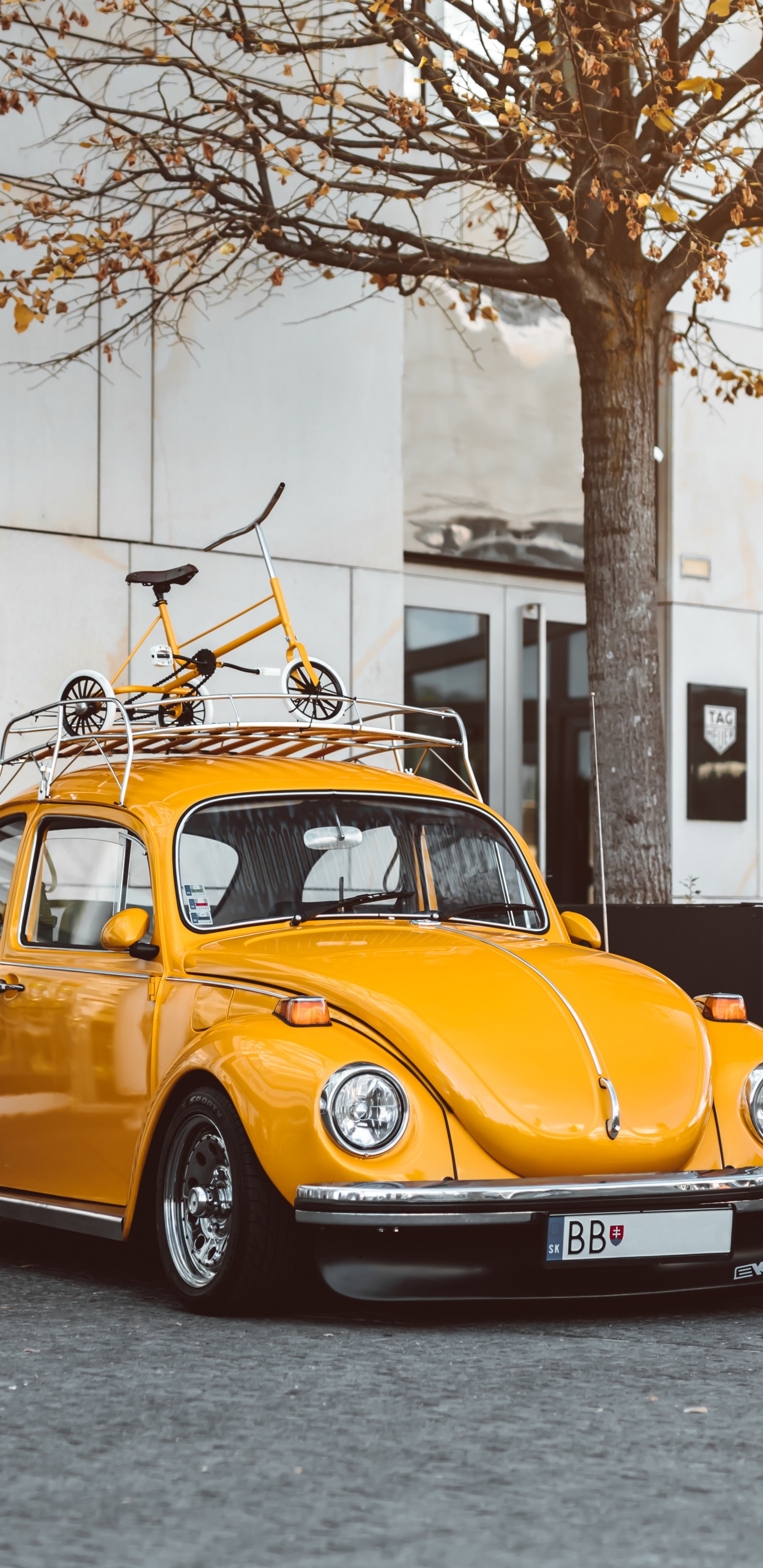 Volkswagen Beetle, Car, Volkswagen, Oldtimer, Gebrauchtwagen. Wallpaper in 1440x2960 Resolution