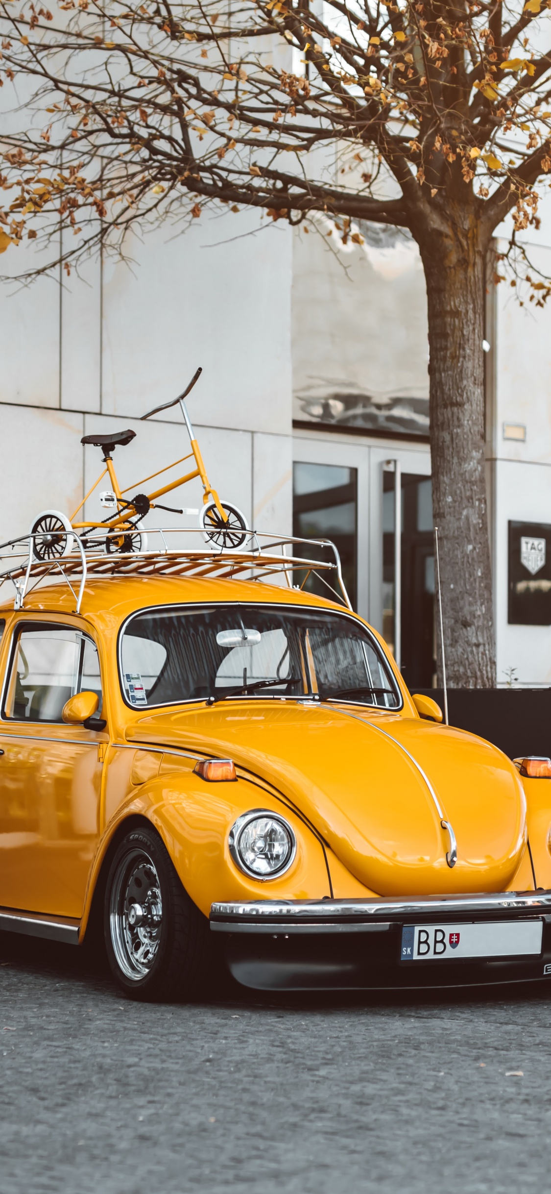 Volkswagen Beetle, Cars, Volkswagen, Classic Car, Vintage Car. Wallpaper in 1125x2436 Resolution