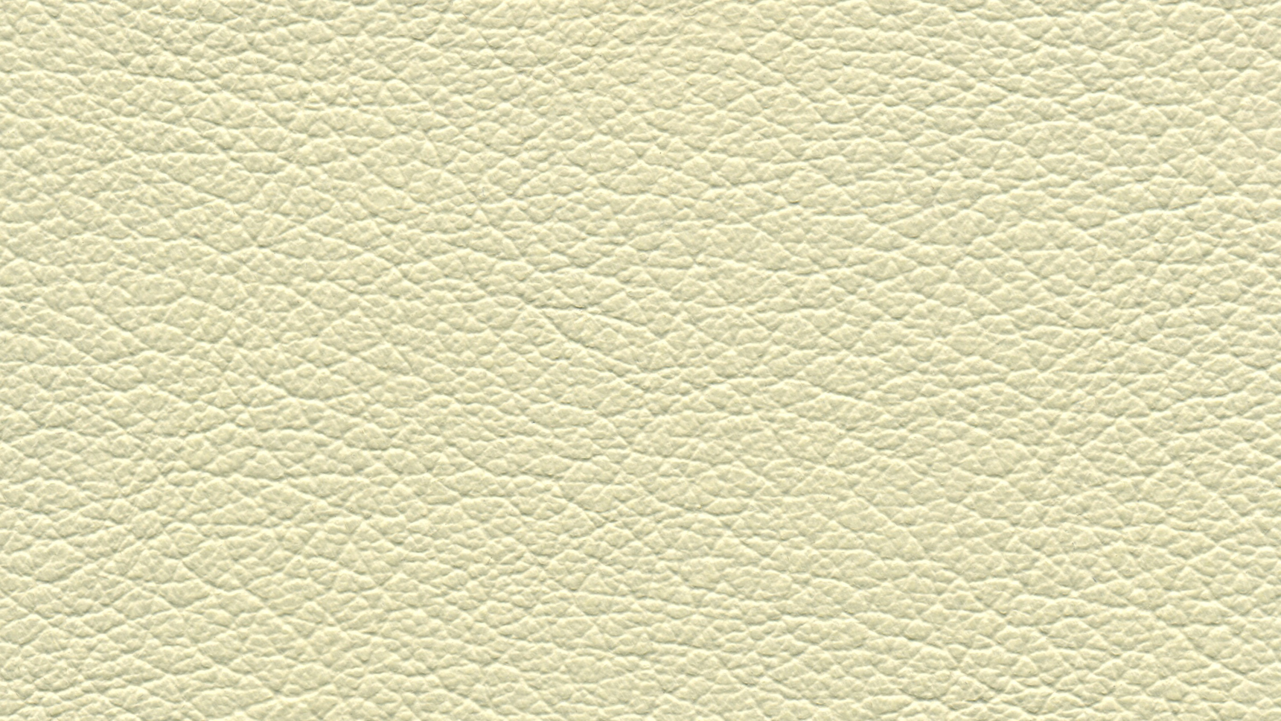 Gelb Und Schwarz Gestrichene Wand. Wallpaper in 2560x1440 Resolution