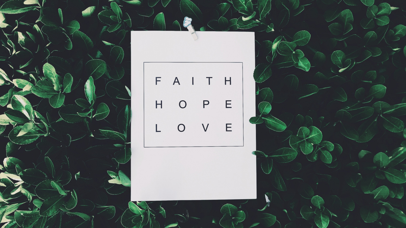 草, 绿色的, 矩形, 文本, 数量 壁纸 1366x768 允许