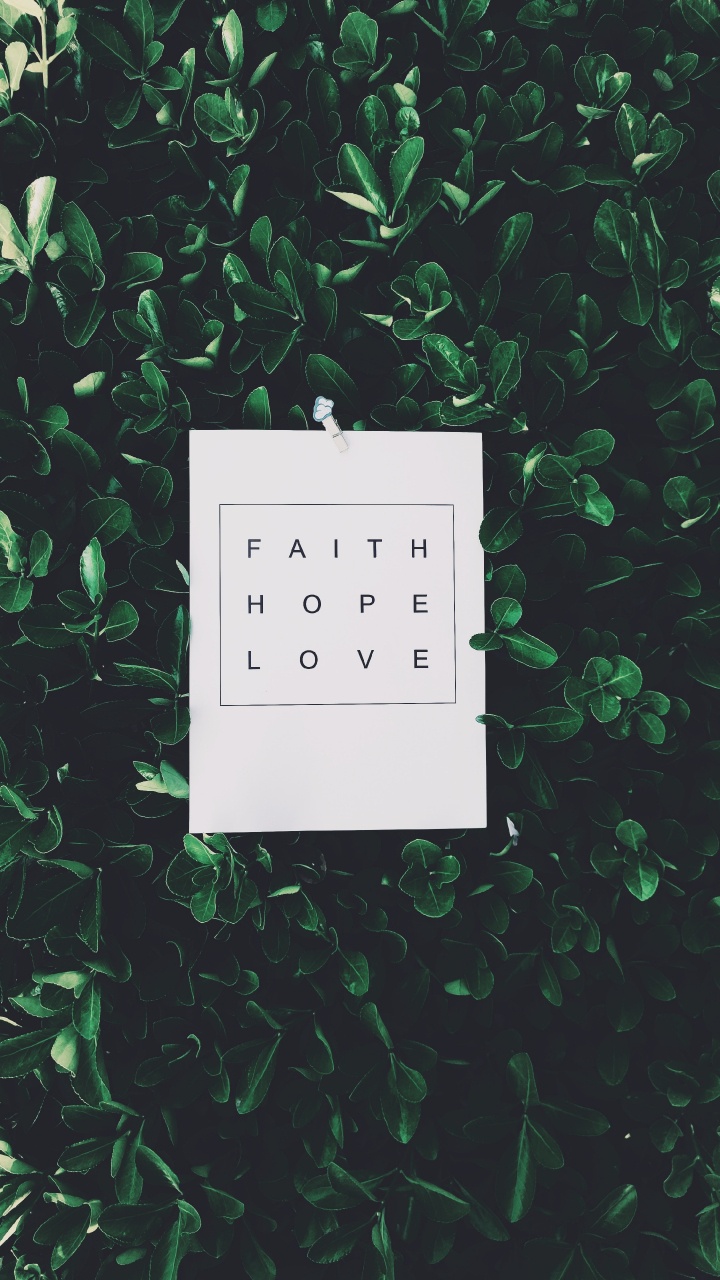 Papier D'imprimante Blanc Sur Plante Verte. Wallpaper in 720x1280 Resolution