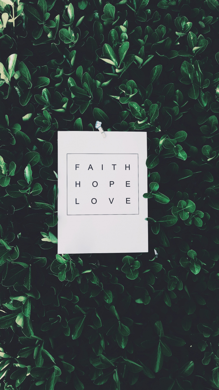 Papel de Impresora Blanco en Planta Verde. Wallpaper in 750x1334 Resolution