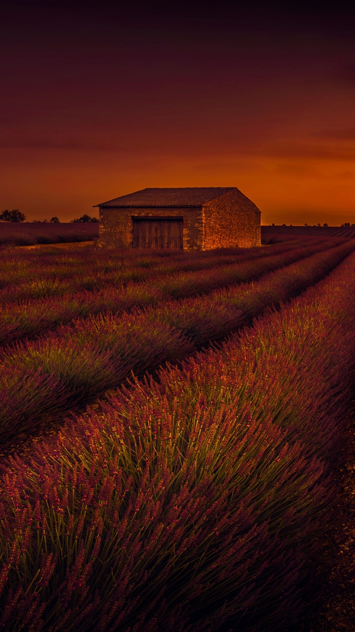 Braunes Haus Auf Grüner Wiese Bei Sonnenuntergang. Wallpaper in 720x1280 Resolution