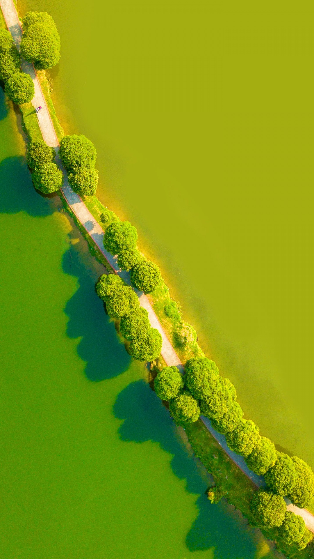 LG, LG G8 ThinQ, 安卓, 智能手机, 绿色的 壁纸 1080x1920 允许