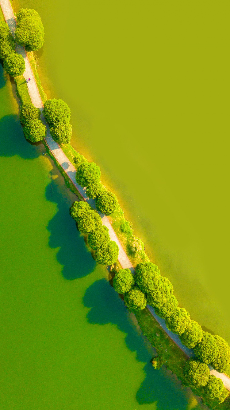 LG, LG G8 ThinQ, Android, Smartphone, Gr. Wallpaper in 750x1334 Resolution