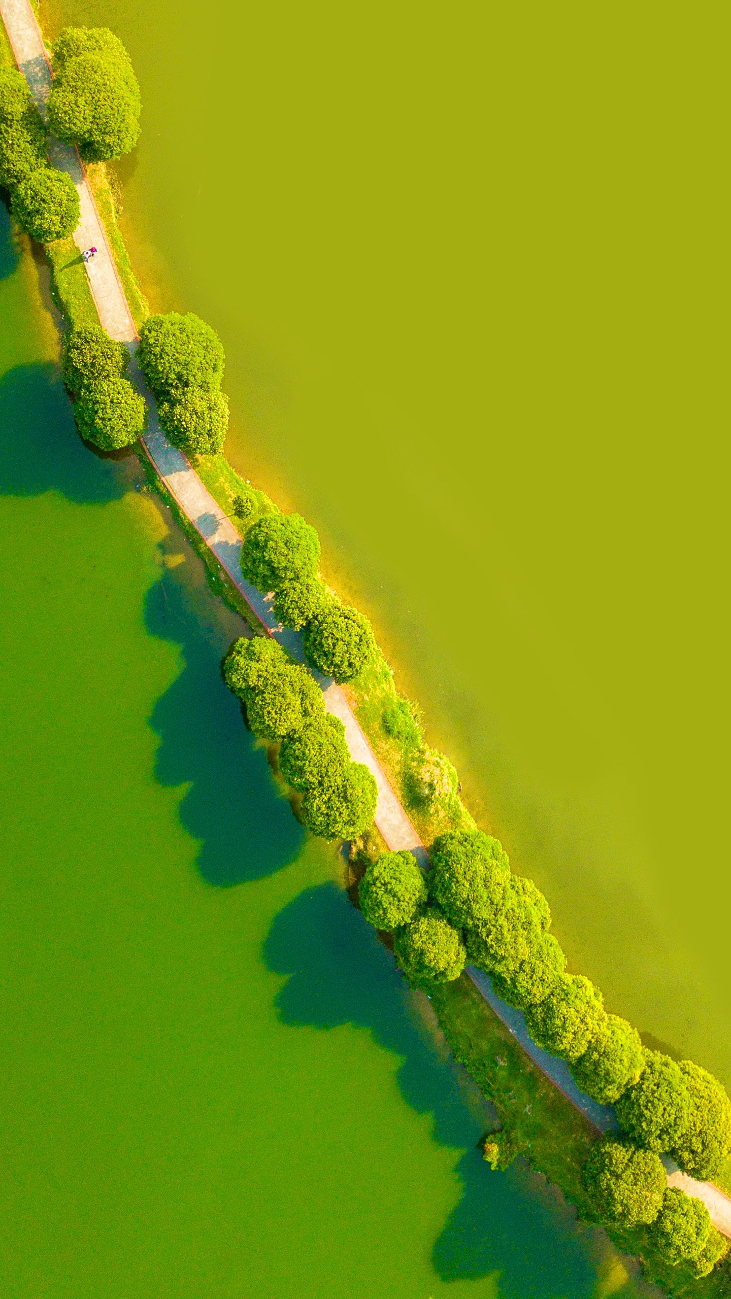 LG, LG G8 ThinQ, Android, Smartphone, Green. Wallpaper in 1440x2560 Resolution